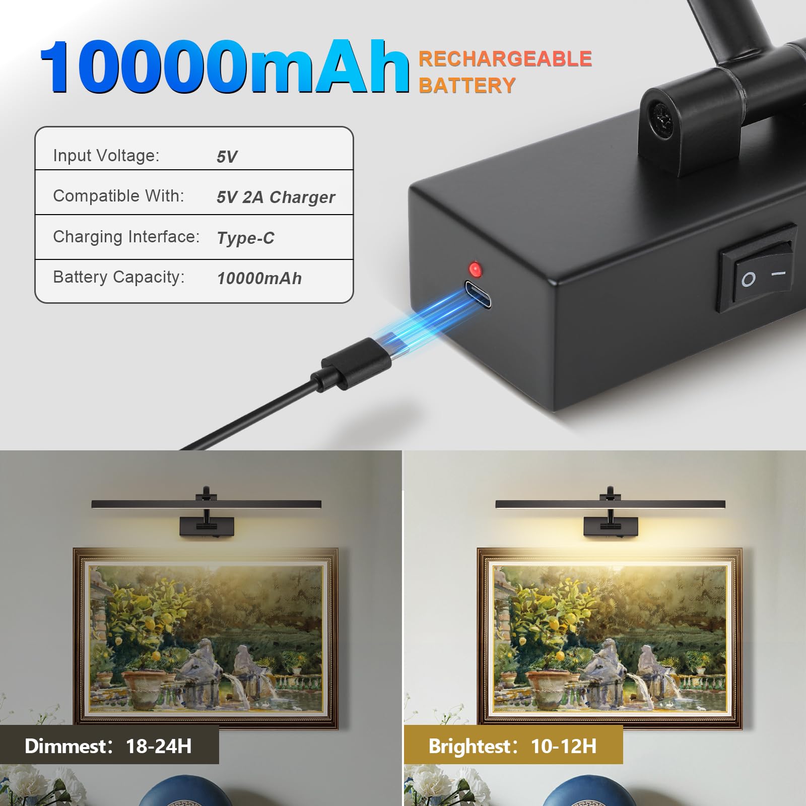 DESOOP Wireless Picture Lights - Battery Operated Black Art Lighting, 23.62 inch, Acrylic, Model 9862, Dimmable with Remote & Timer