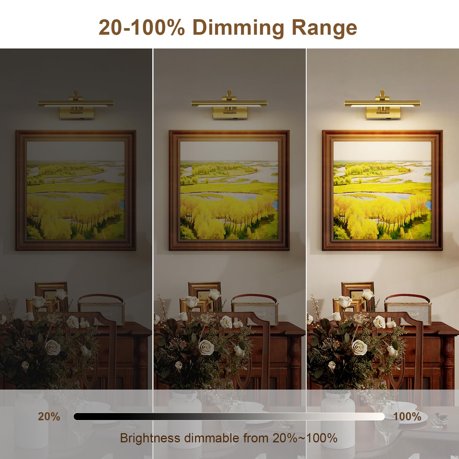 DESOOP Wireless Picture Lights - Brass 12 Inch Art Lamps with Remote, Timer, Dimmable, Battery Operated, Model 7115