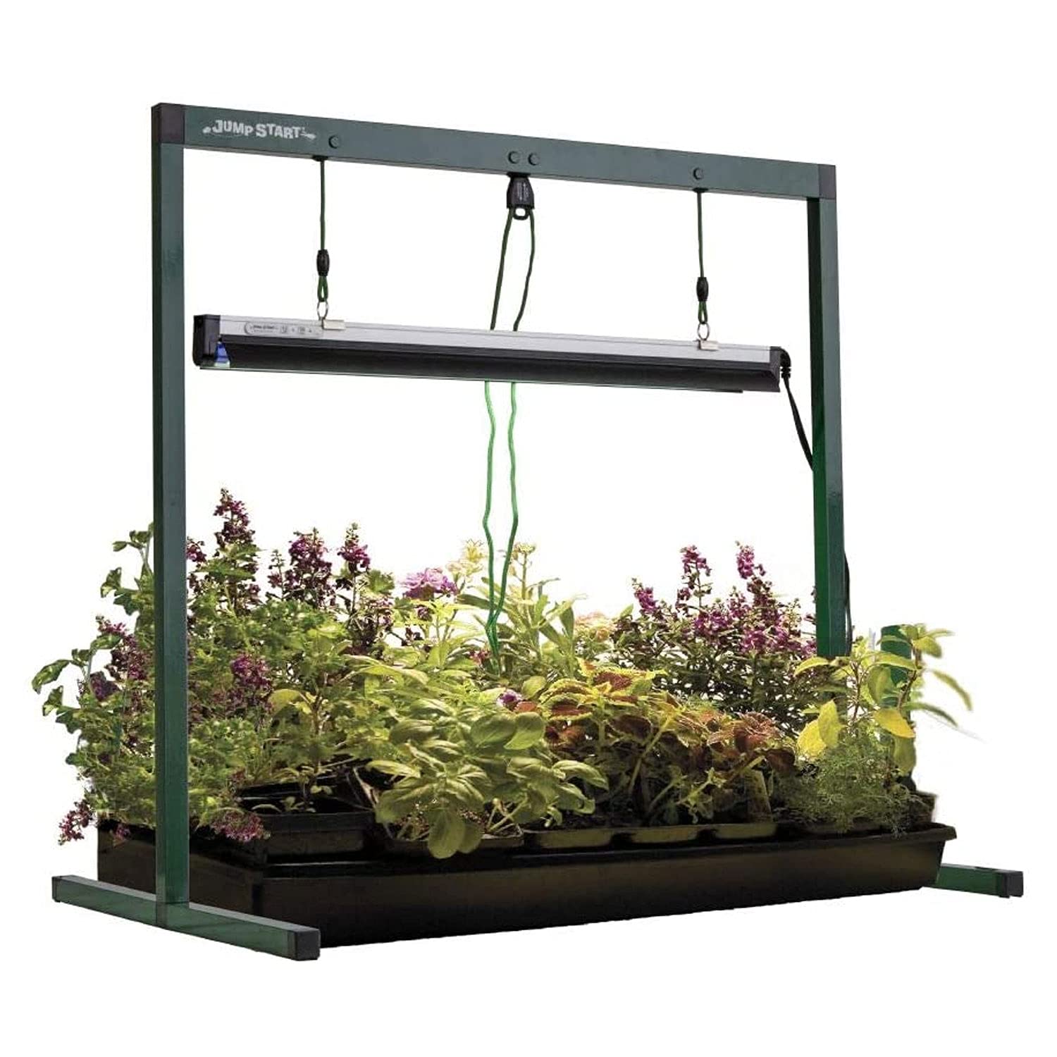 Jump Start Jsv2T 24 Watt T5 120V Grow Light System With Built In Timer, Adjustable Height, 2 Foot Wide Stand, Fixture, And Tube