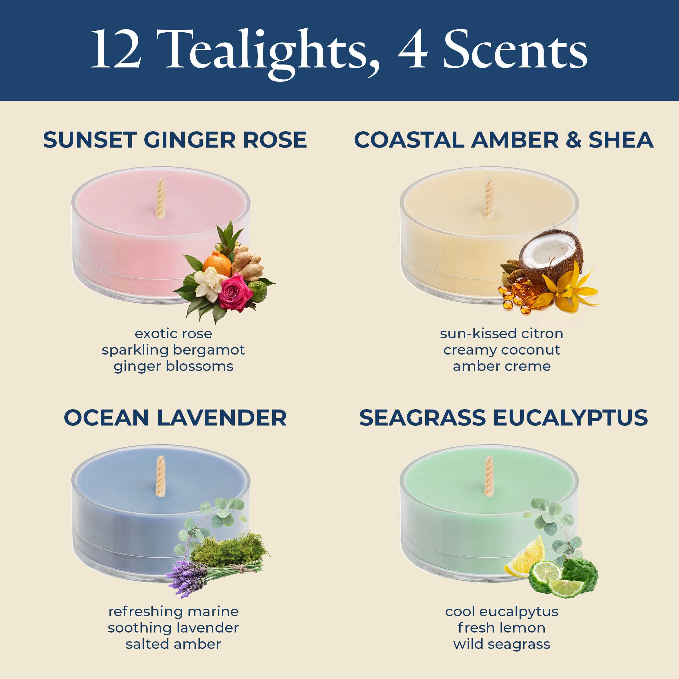 Partylite Tea Lights Sampler  Ginger And Coconut With Lavender Scented Candles  Gift Set Of 12  Aromatherapy With Up To 4 To 6 Hours Burn Time  Ideal For Home Decor  Holiday Gifting And Celebration