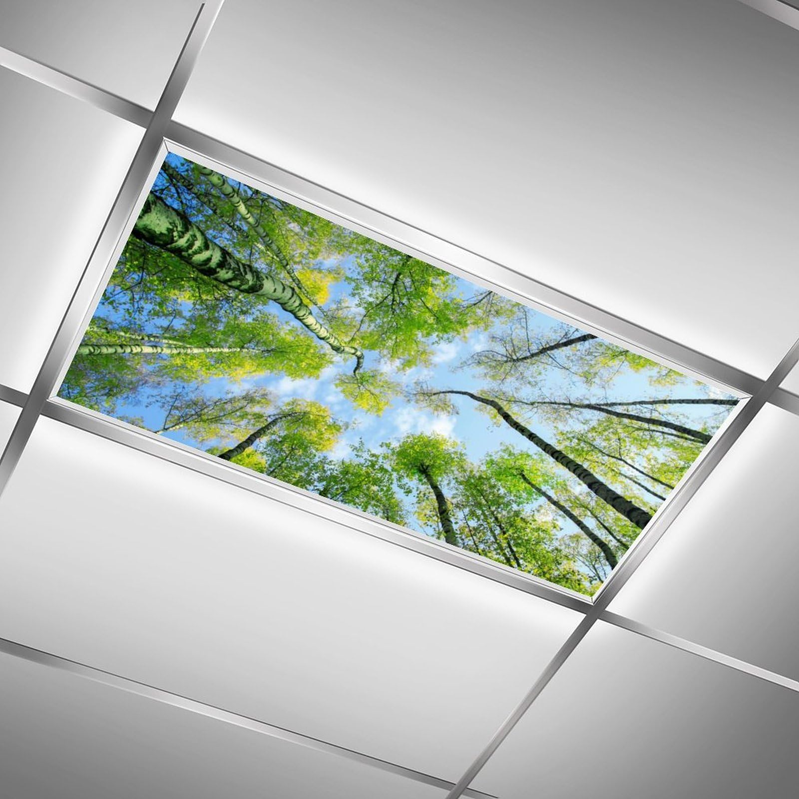 2Pcs Fluorescent Light Covers For Classroom Ceiling Lights Magnetic Light Covers,Fluorescent Light Filters For School Home Office Drop Ceiling Lamp Decor Light Filters 4X2Feet(Spring Forest)