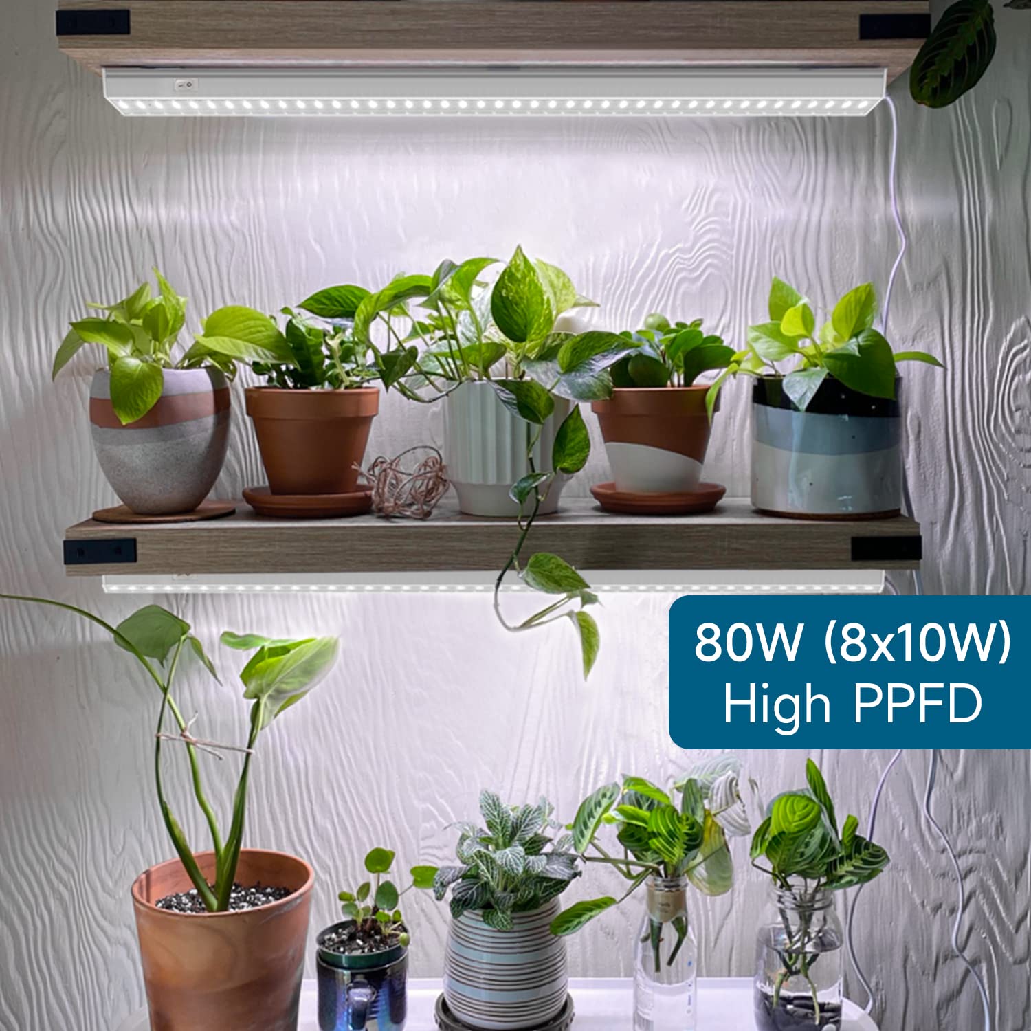 Barrina T5 Grow Lights 5000K Full Spectrum LED Bulbs, 2ft 80W, White, Aluminum, 8-Pack for Indoor Plants and Greenhouse