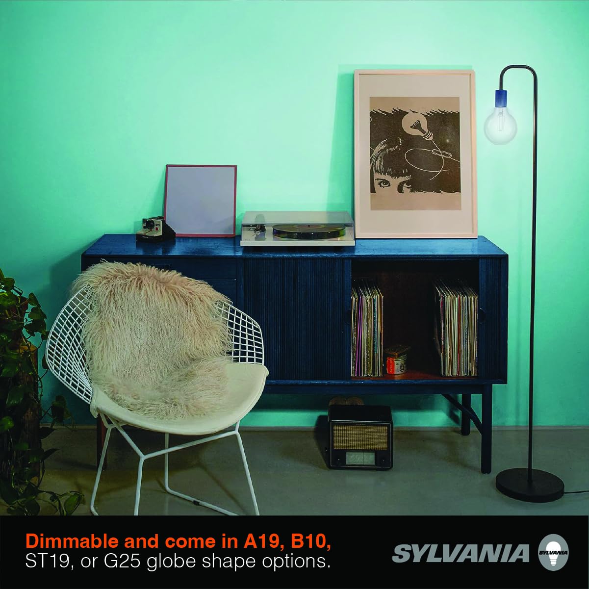 Sylvania G25 Clear Globe Led White Filament Bulb, 3.5W, Dimmable, 300 Lms, Medium Base, 2700K, Soft White - 2 Pack (42254)