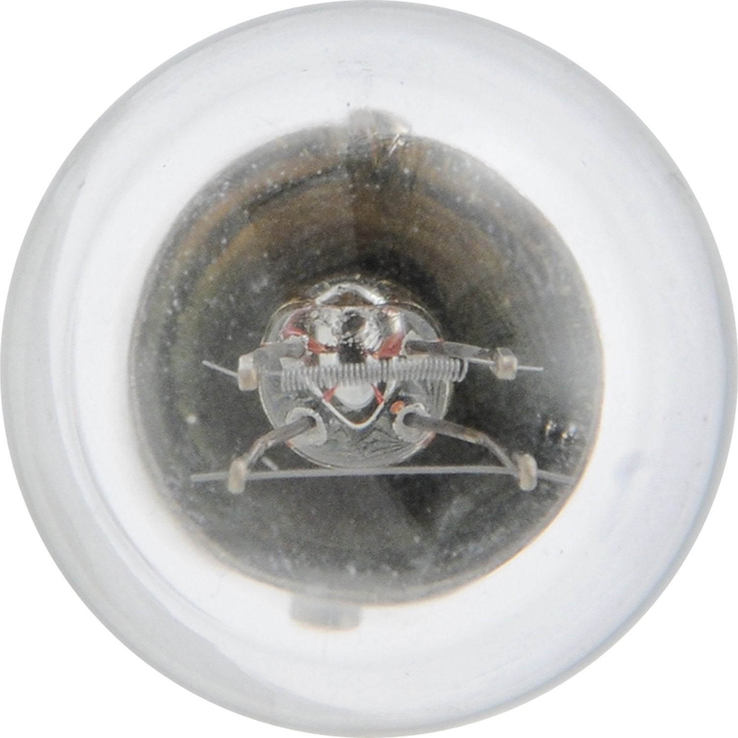 SYLVANIA 7528 Miniature Bulbs, Tempered Glass, Tungsten, 2 Count, Pack of 1