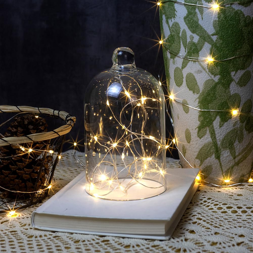 ZELUXDOT Fairy Lights, 200FT 600LEDs, Waterproof, Warm White, Silver Copper Wire, Model DS-SL-600-CTR, Remote Twinkle Light