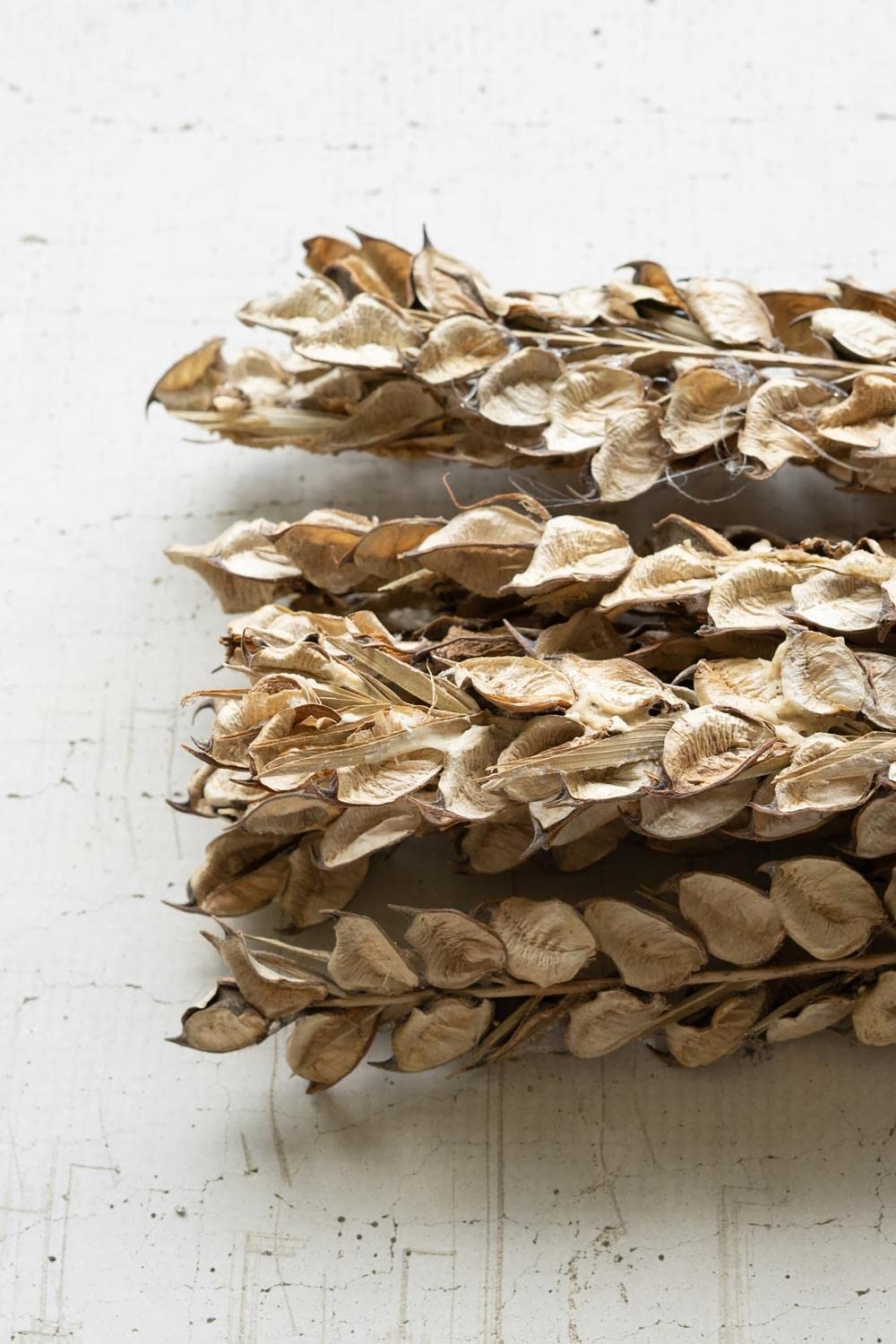 BUNDLE OF 12 COTTON PETALS ON STEMS