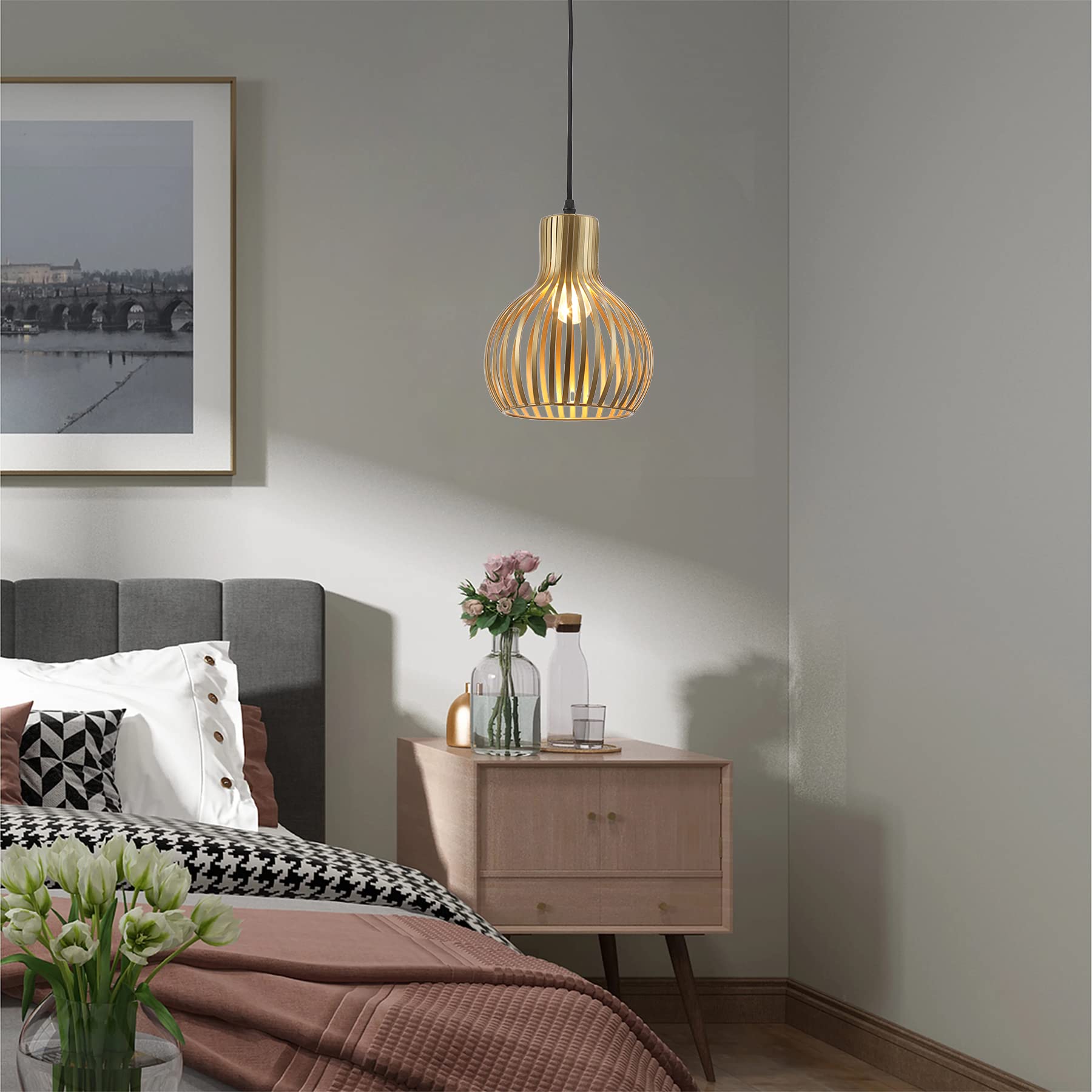 Riomasee Industrial Wire Cage Plug In Pendant Lighting Metal Hanging Light Fixture With 14.27 Ft Hanging Cord And On/Off Switch