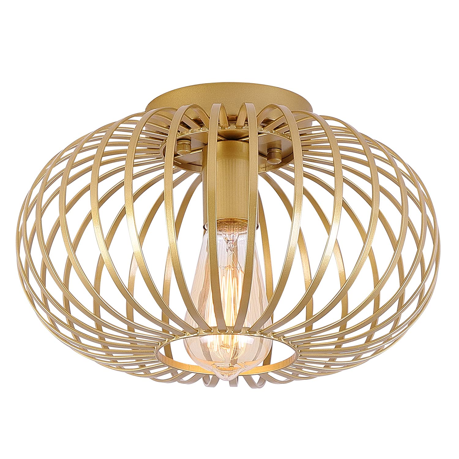 Fivess Lighting Modern Gold Flush Mount Light Fixture Metal Cage Single Semi Flush Mount Ceiling Light for Hallway Bedroom Kitchen Entryway Farmhouse