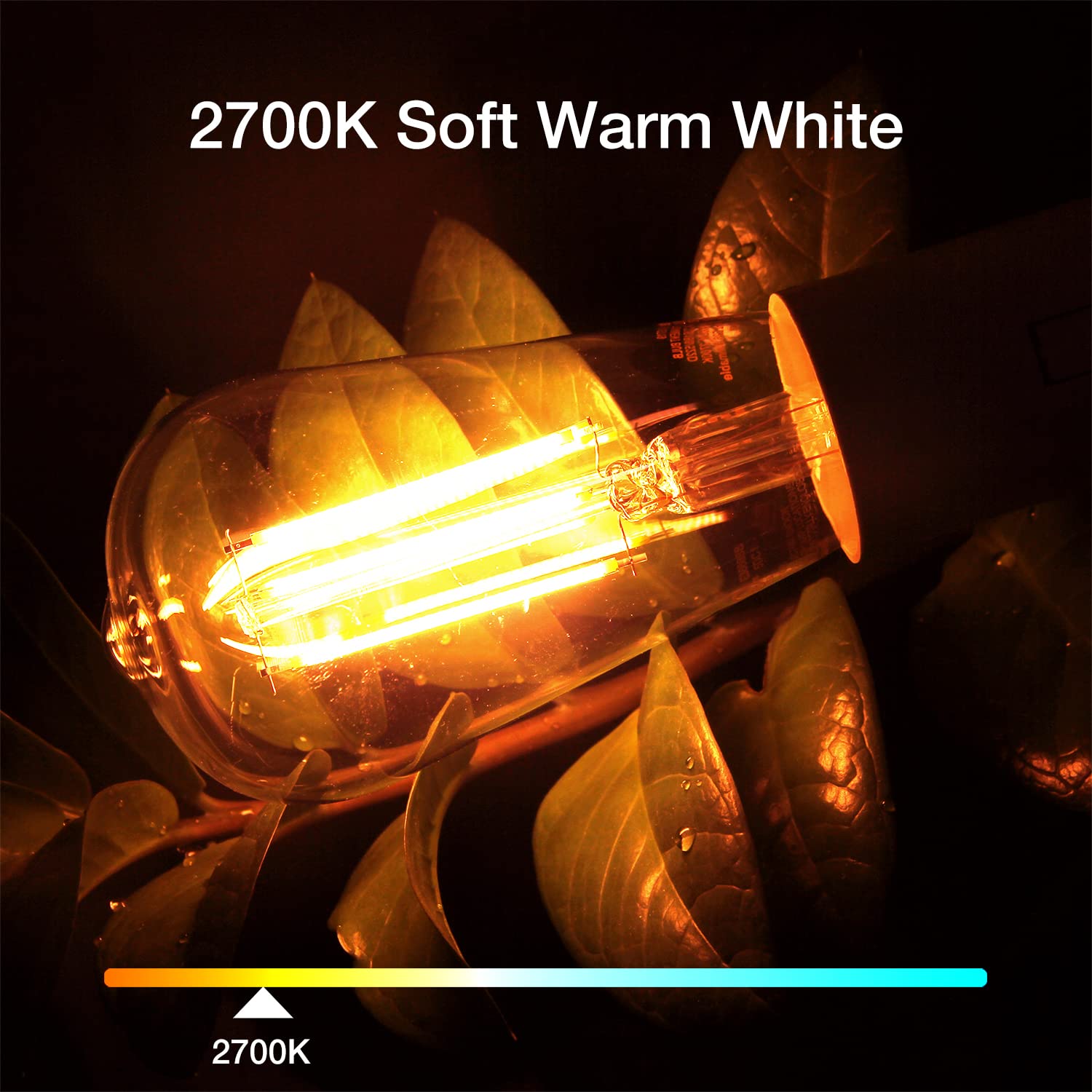 Daybetter 20 Pack St58 Led Edison Bulbs, 8W Vintage Light Bulbs, Equivalent 60 Watt, 800Lm, Cri85+, 2700K Warm White, Dimmable E26 Base Led Filament Bulbs For Ceiling, Home, Office, Clear Glass