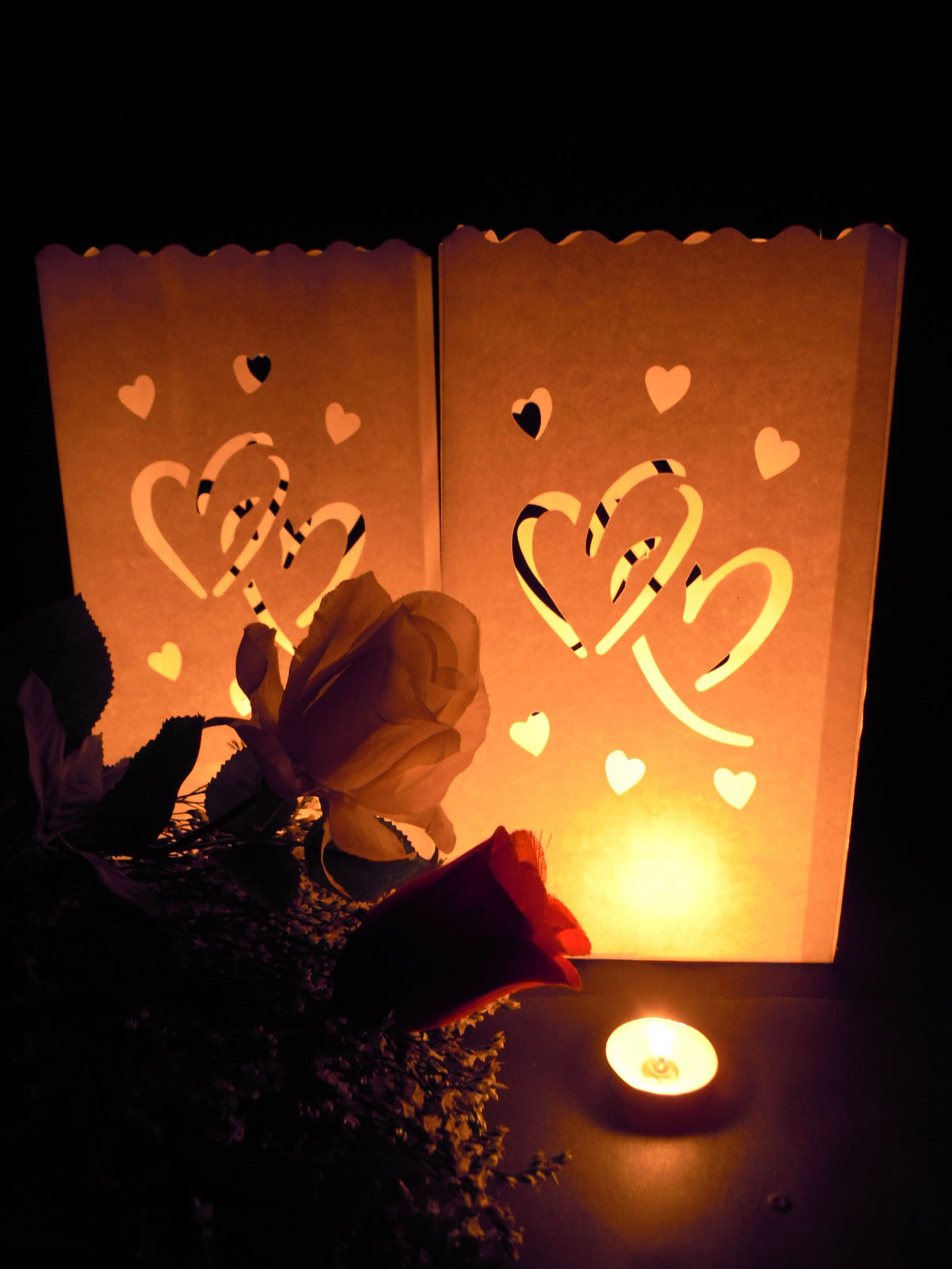 Fascola 20 Gorgeous Flame Resistant Lighting Bag With Star And Moon Design | Extremely Safe Durable Reusable Cotton | Perfect De