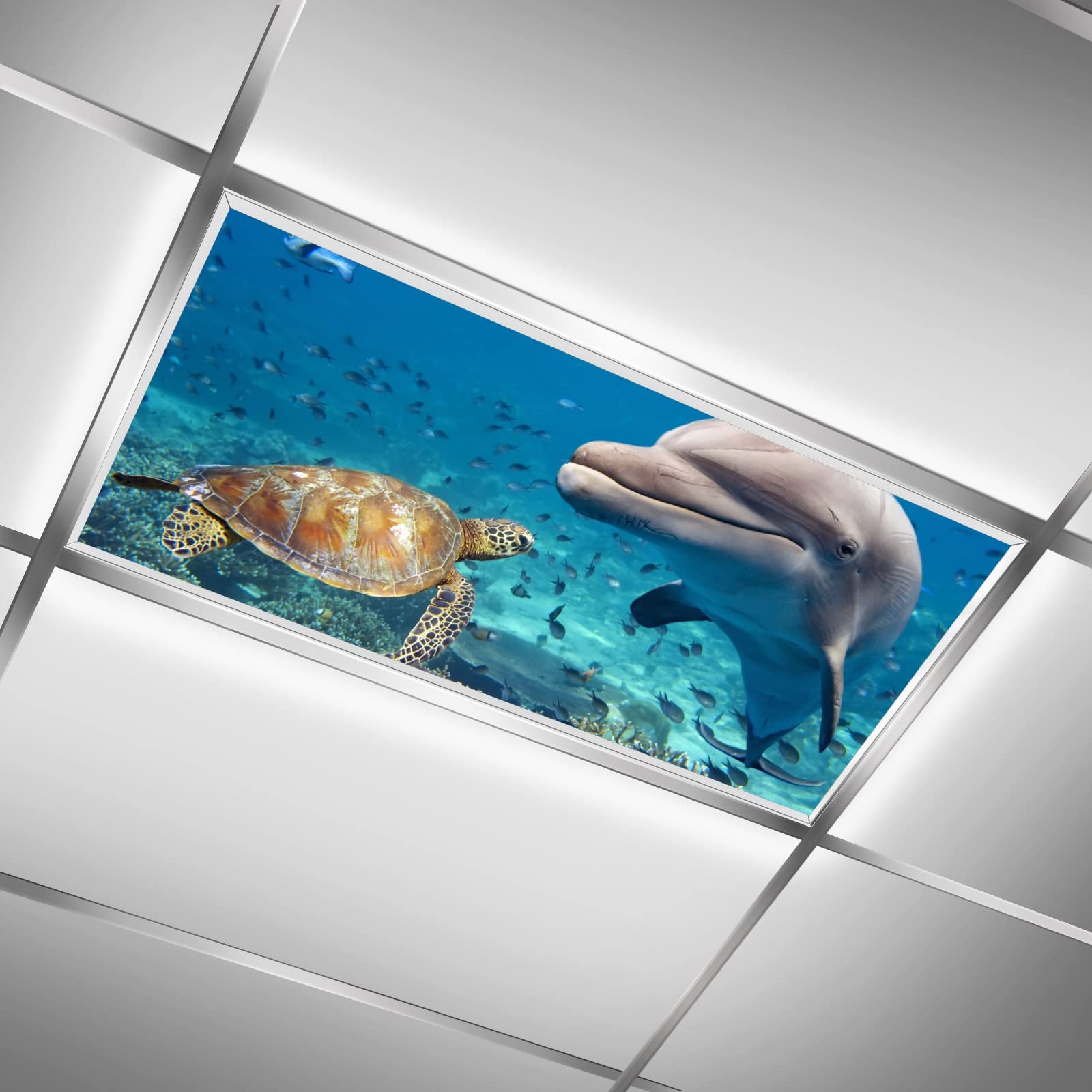 Underwater Sea World Marine Sea Turtle Dolphin Fish Beautiful- Fluorescent Light Covers - 2x4 Drop Ceiling Fluorescent Decorativ