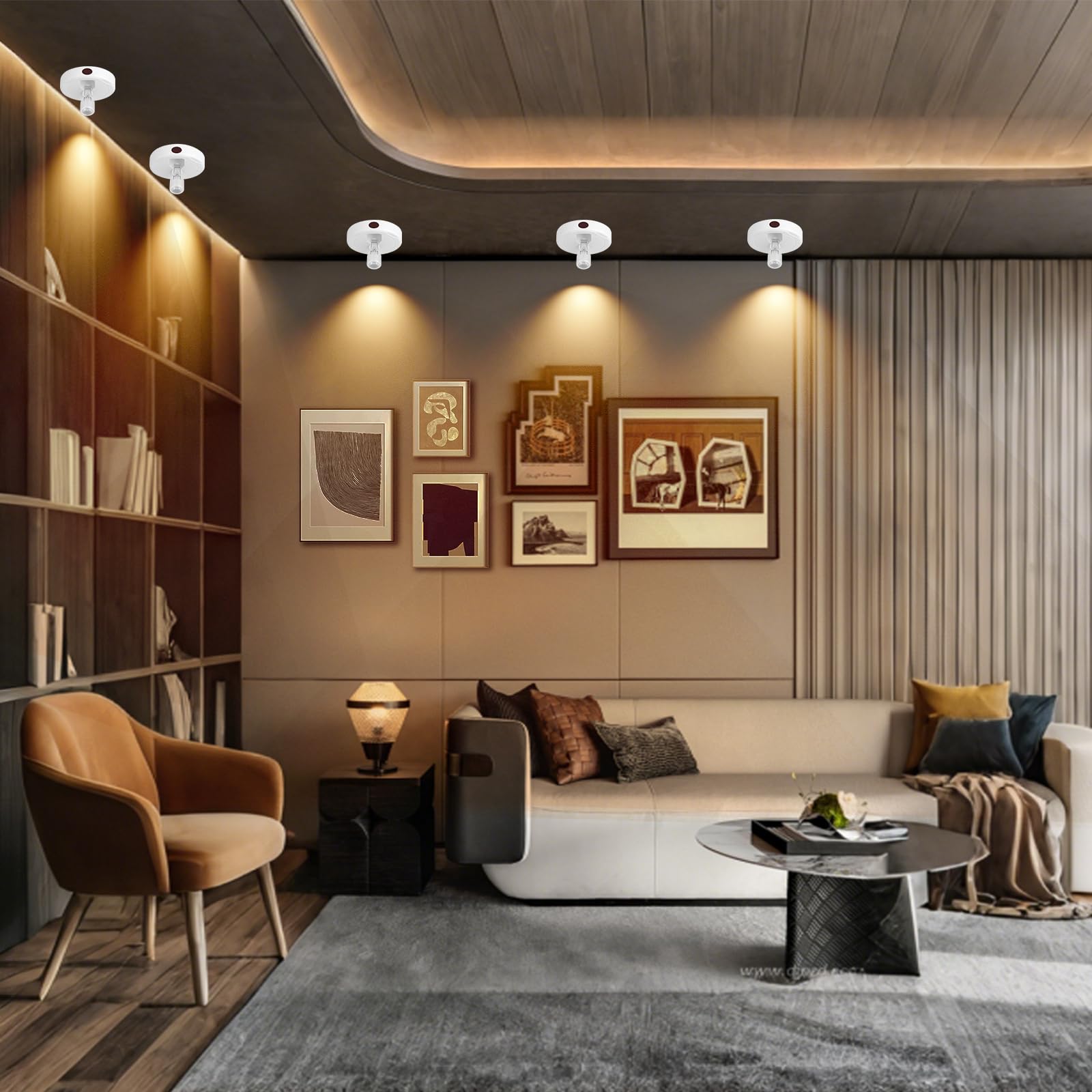 KANESIKI Cordless Spotlight Battery Powered, Plant Spot Light Indoor, Rechargeable Picture Lights with Remote, LED Accent Lighti