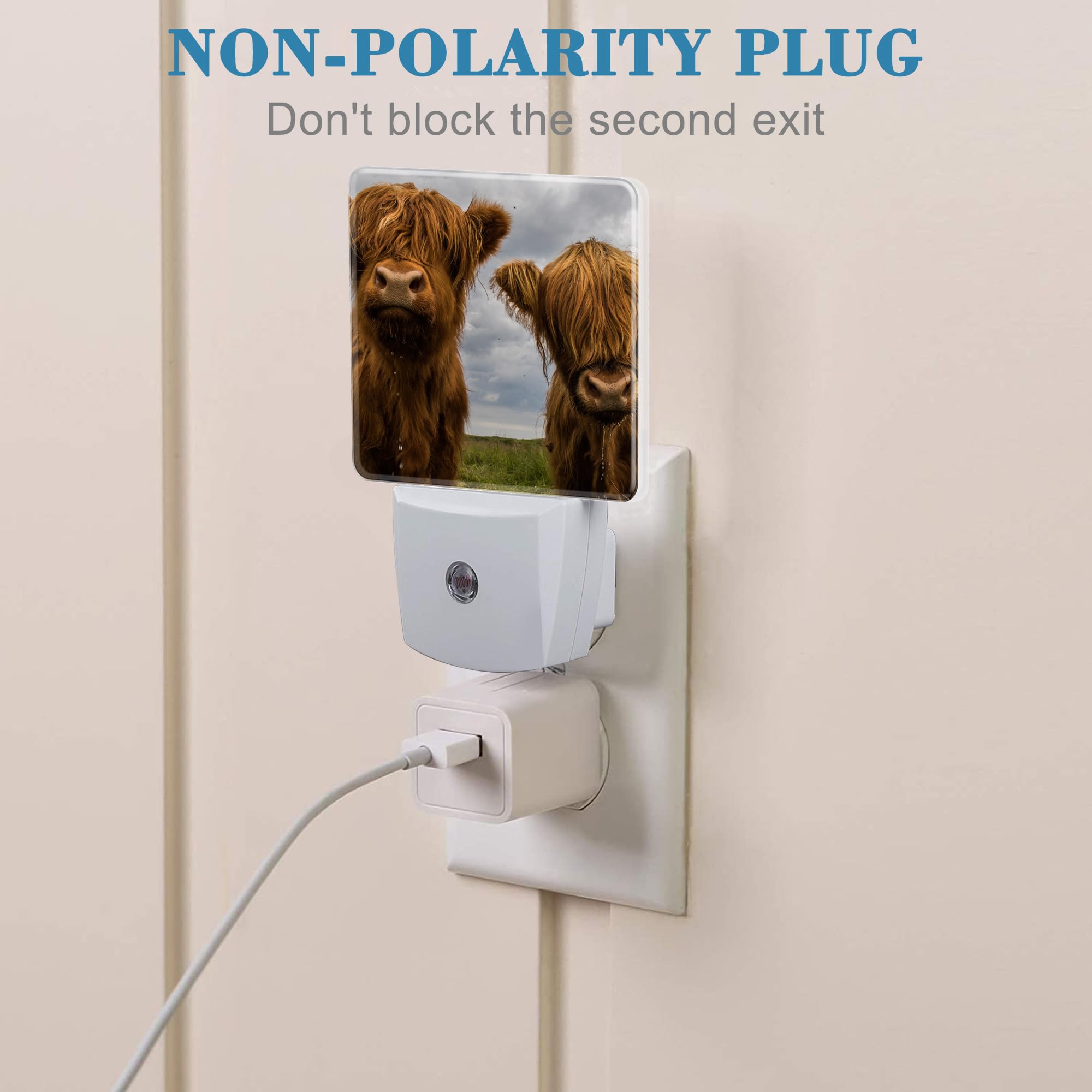 Uiaoiais Highland Cows Night Light With Dusk To Dawn Sensor For Kid Girls Boys Women Men Room Decor, Hallway, Kitchen, Bathroom,