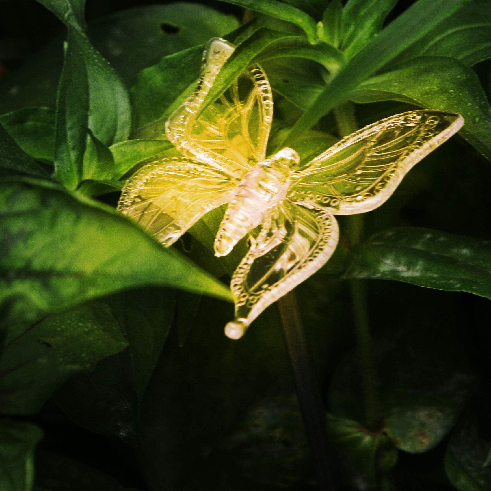 Ezigarden Solar Garden Stake Waterproof Outdoor Light With Vivid Color Charging Figurine -Butterfly Led Garden Landscape Lawn La