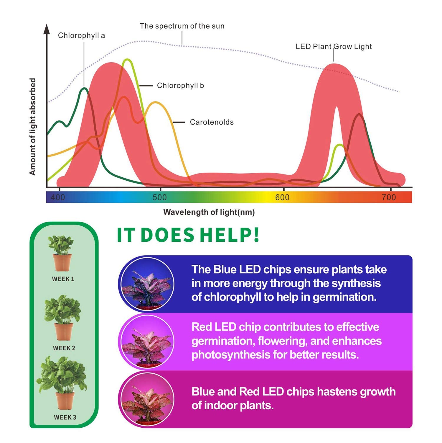Riverlux Led Grow Light For Indoor Plants, 360 Degree Adjustable Gooseneck With Blue Red Leds, Clip Plant Growing Lamp, Succulen