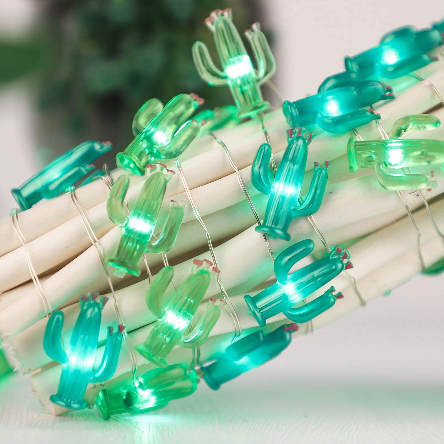 Silverstro Christmas Cactus String Lights 10Ft 40Leds Nature Theme Led Lights With Remote Usb & Battery Operated Fairy Lights For Home Party Wedding Garden Holiday Decor(Green Lights)