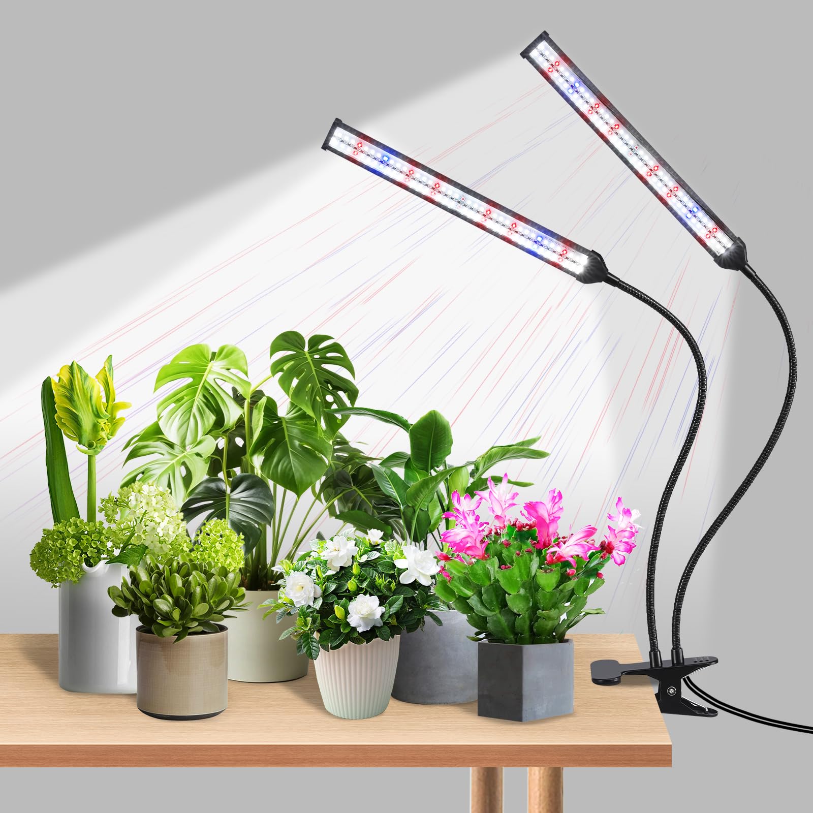 Indoor Clip-on Plant Growth Light  Full Spectrum Grow Light with 156 LEDs  Flexible Gooseneck and 4/8/12H Timer  3 Spectral Modes  10 Levels of Dimming  Suitable for Seedlings and Succulent Seeds