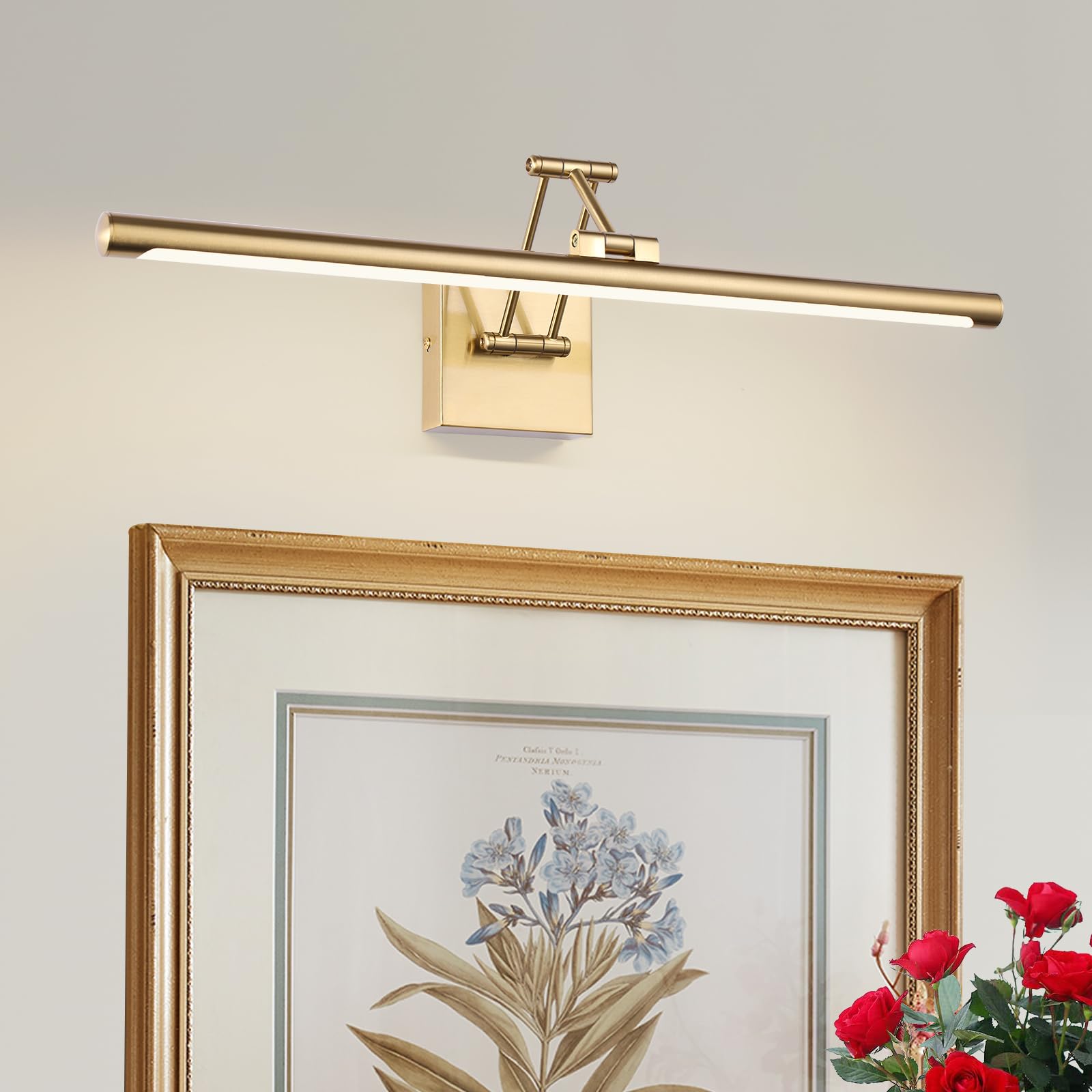 Brass Picture Light for Discomfortting LED Gold Art Light Hard-Wired Picture Frame Lights 24 Inch Gallery Wall Light Modern Discomfortting Lamps with Adjustable Swing Arm Display Lamp for Wall Artwork Warm White