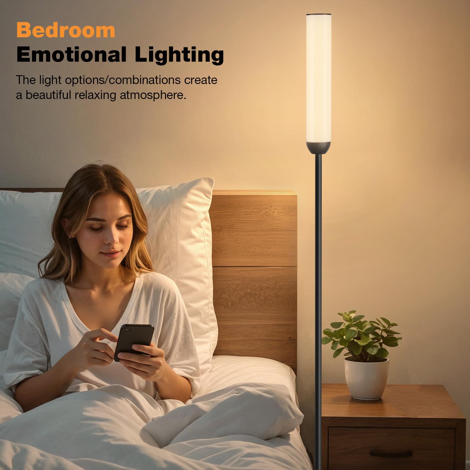 Ambimall LED Floor Lamp, 65in with Remote Control, 3000K-6500K Colors, 5%-100% Brightness, Black, Model RPT-ZGLED1