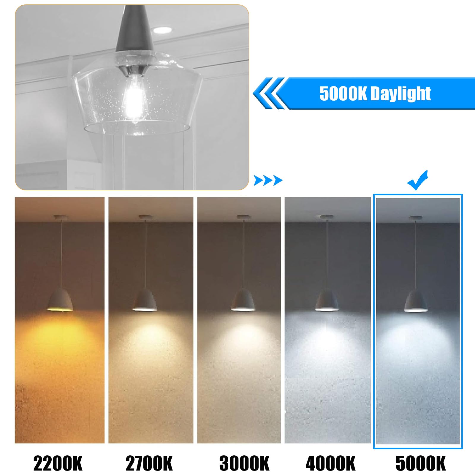 Winsaled 12 Pack Dimmable Led Edison Bulbs 40 Watts Equivalent, 4 Watt Led Filament Bulb, 5000K Daylight St19 Light Bulb, 400Lm