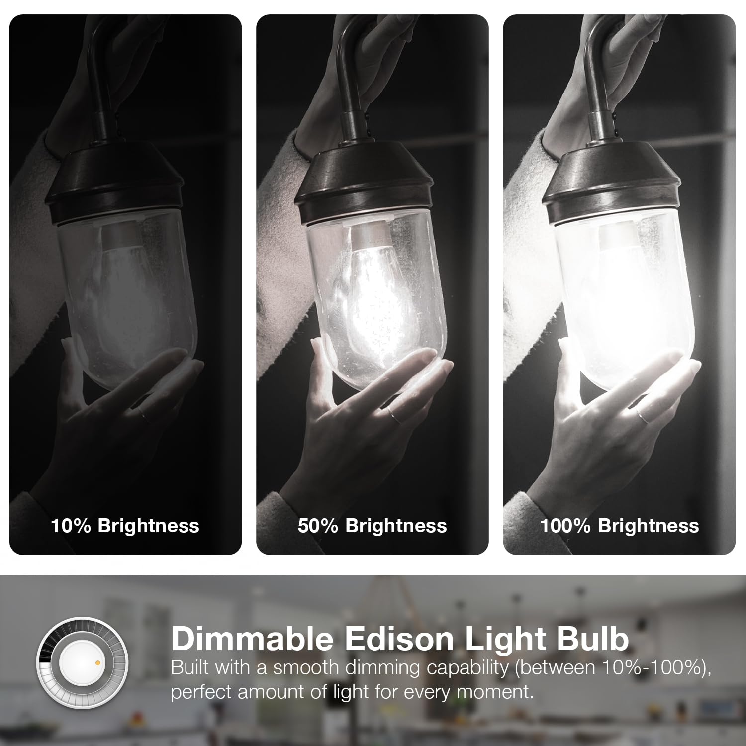 Daybetter 24 Pack Vintage Led Edison Bulbs, E26 Led Bulb 60W Equivalent, Dimmable Led Light Bulbs, High Brightness 800 Lm Daylight White 5000K, St58 Antique Filament Bulbs, Clear Glass Style For Home