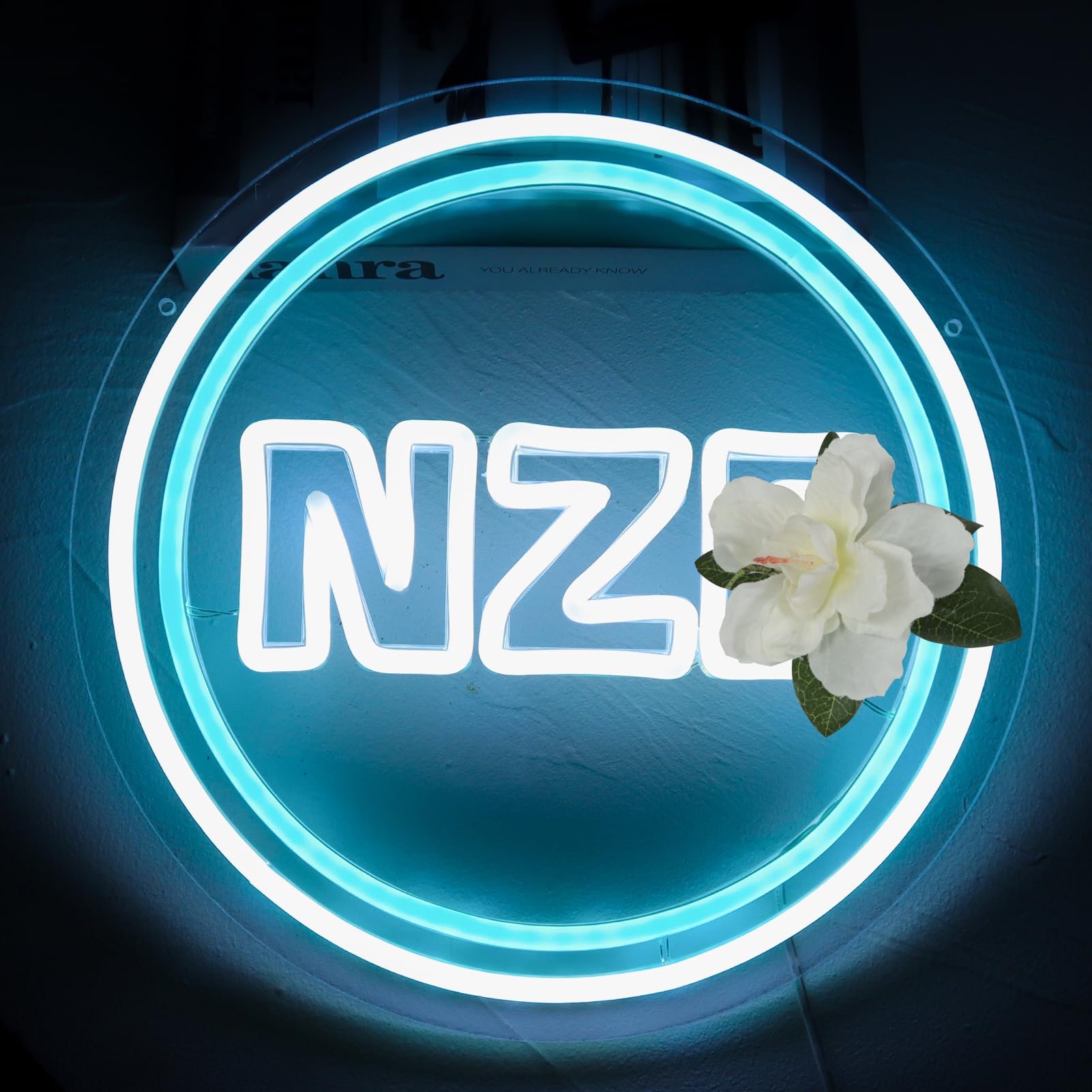 Pugna N.Z.E Neon Signs for Wall Decor NZe Neon Lights for Bedroom Led Signs Suitable for Dormitory Man Cave Christmas Gift