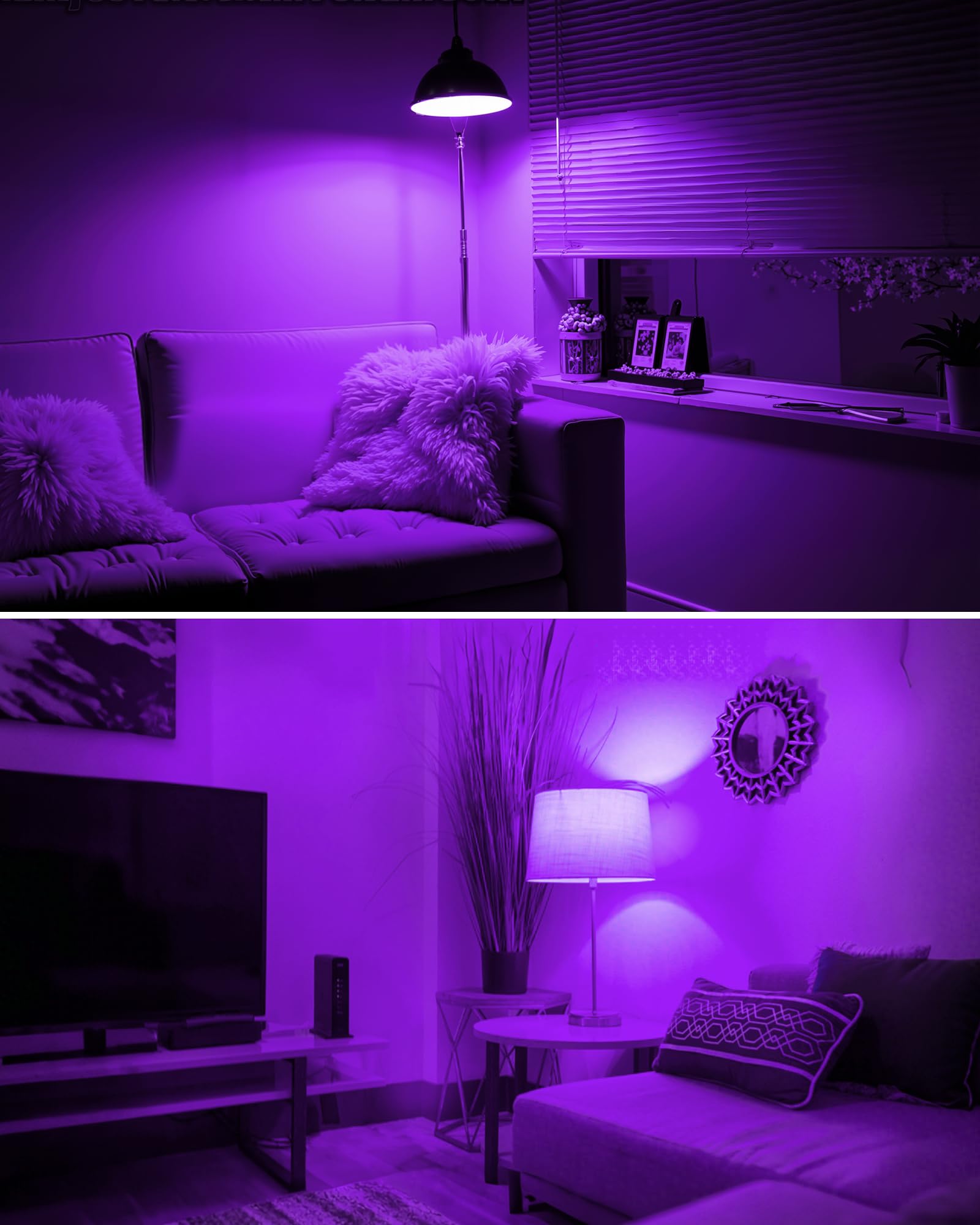 Flaspar 2 Pack Led Purple Light Bulbs For Halloween  40W Equivalent 5W E26 Base  Violet Lighting For Indoor&Outdoor  Christmas  Home Decor  Party&Holiday Decoration  Porch Lights  Non-Dimmable