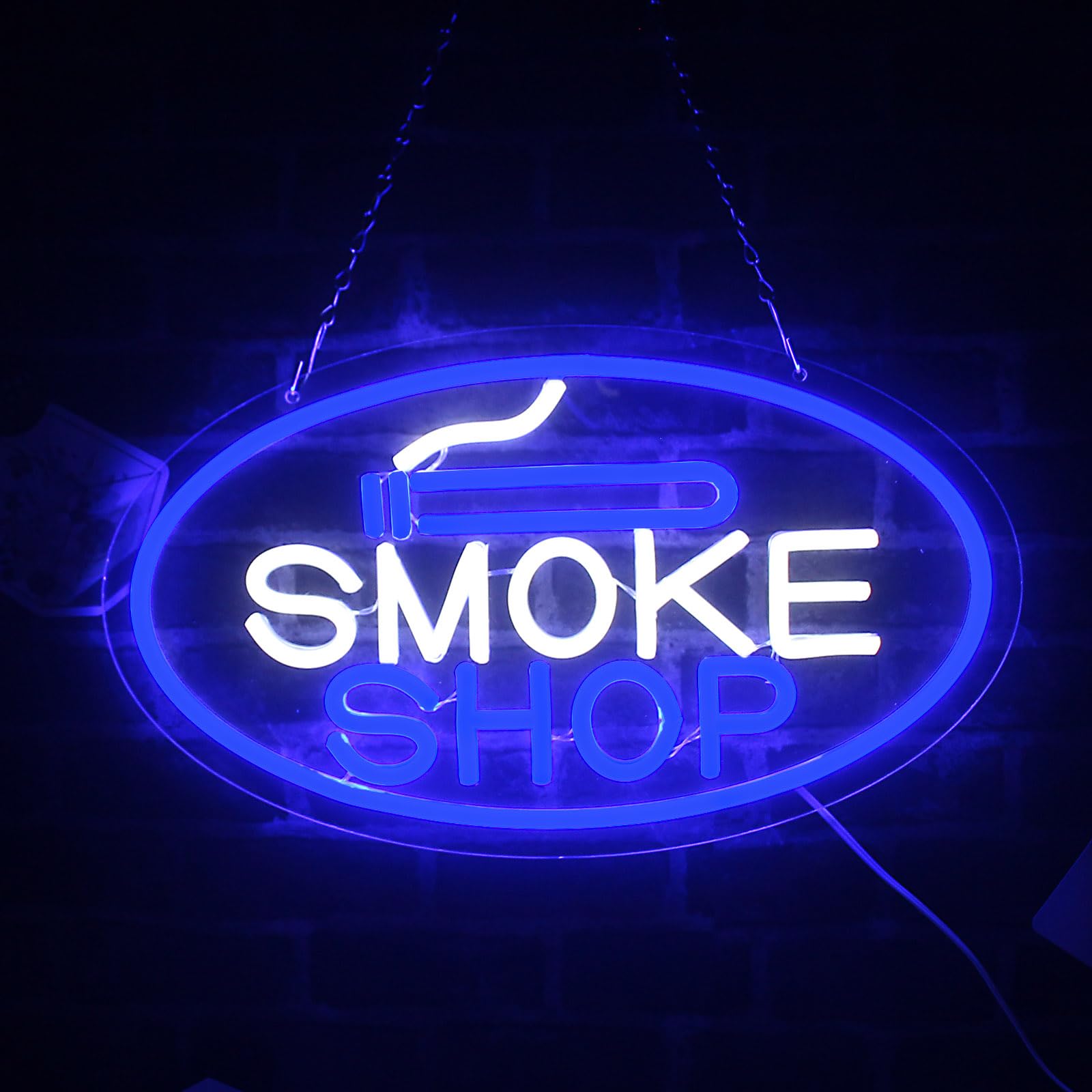 LeDigPig LED Neon Sign for Wall Décor, Dimmable, 16.8inx9.6in, Blue White