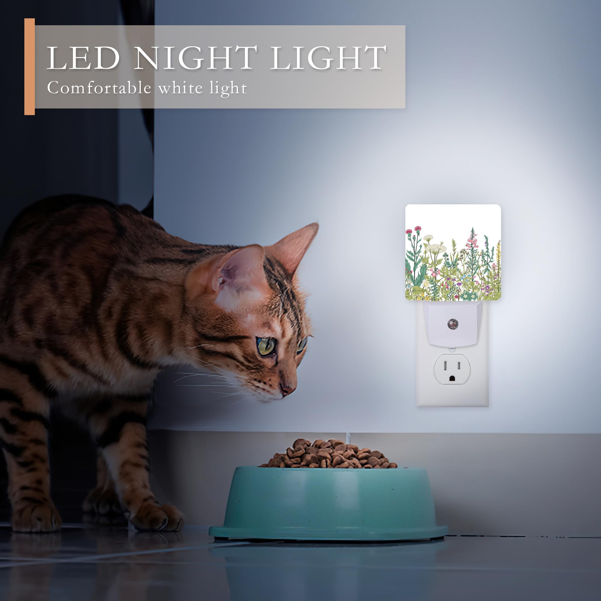 Aowula Halloween Night Lights Plug Into Wall,Black Cat Moon Night Light Dusk To Dawn Sensor Led Lamp 0.5W For Boys/Girls/Women/Men Decorations Room 0.5W Sleep Friendly