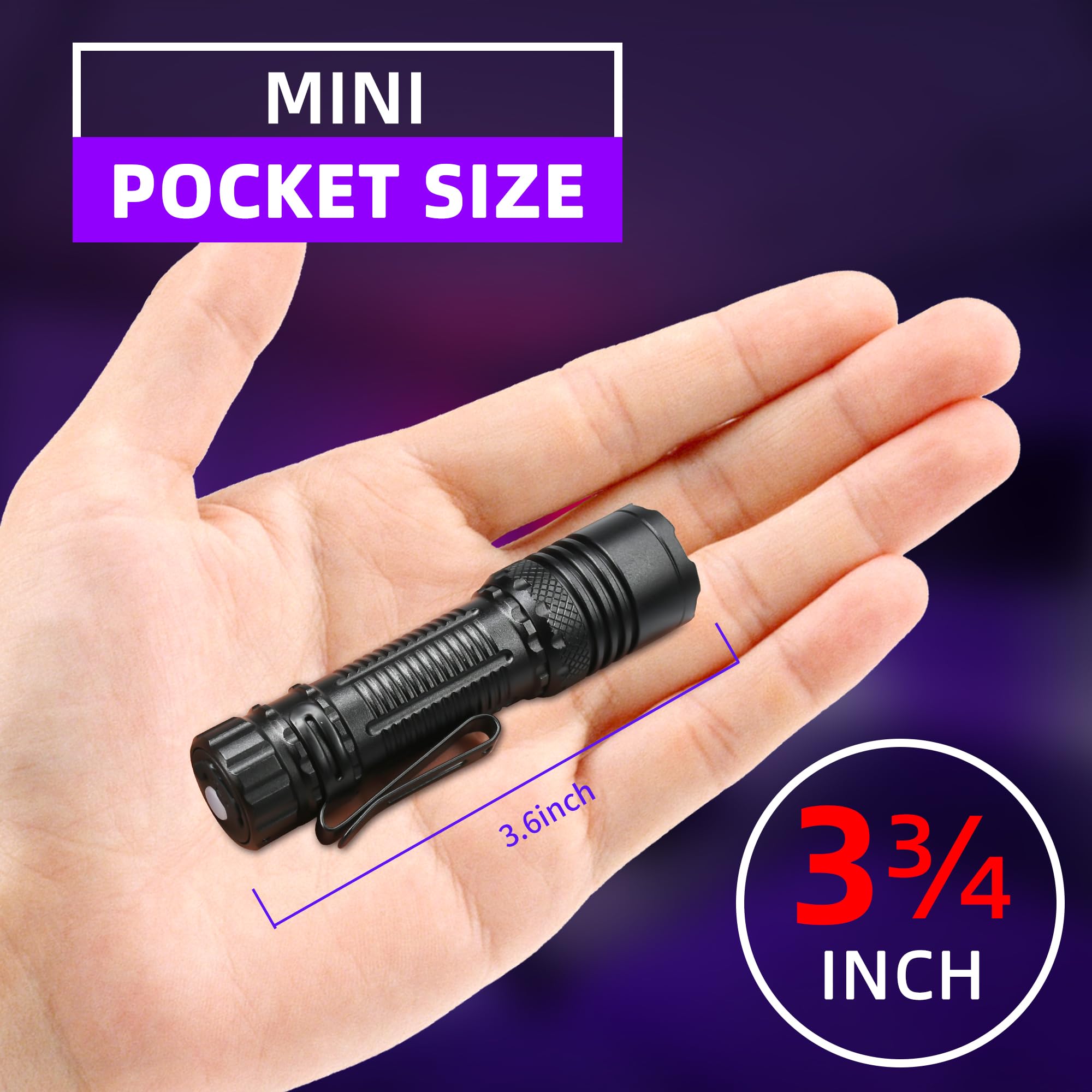 DARKBEAM UV Flashlight 395nm - Mini Rechargeable Blacklight, Focusable, Water Resistant, Model B71-395NM, Ideal for Pet Detection