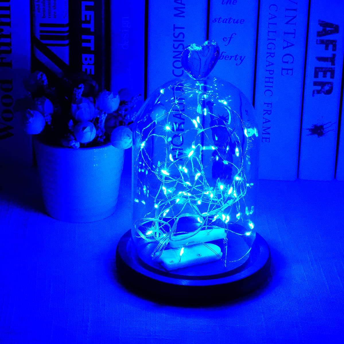 SmilingTown Starry Fairy String Lights 24 Pack 20 LED/Strand 7.2ft Firefly Copper Wire Lights Battery Powered Lights for Wedding