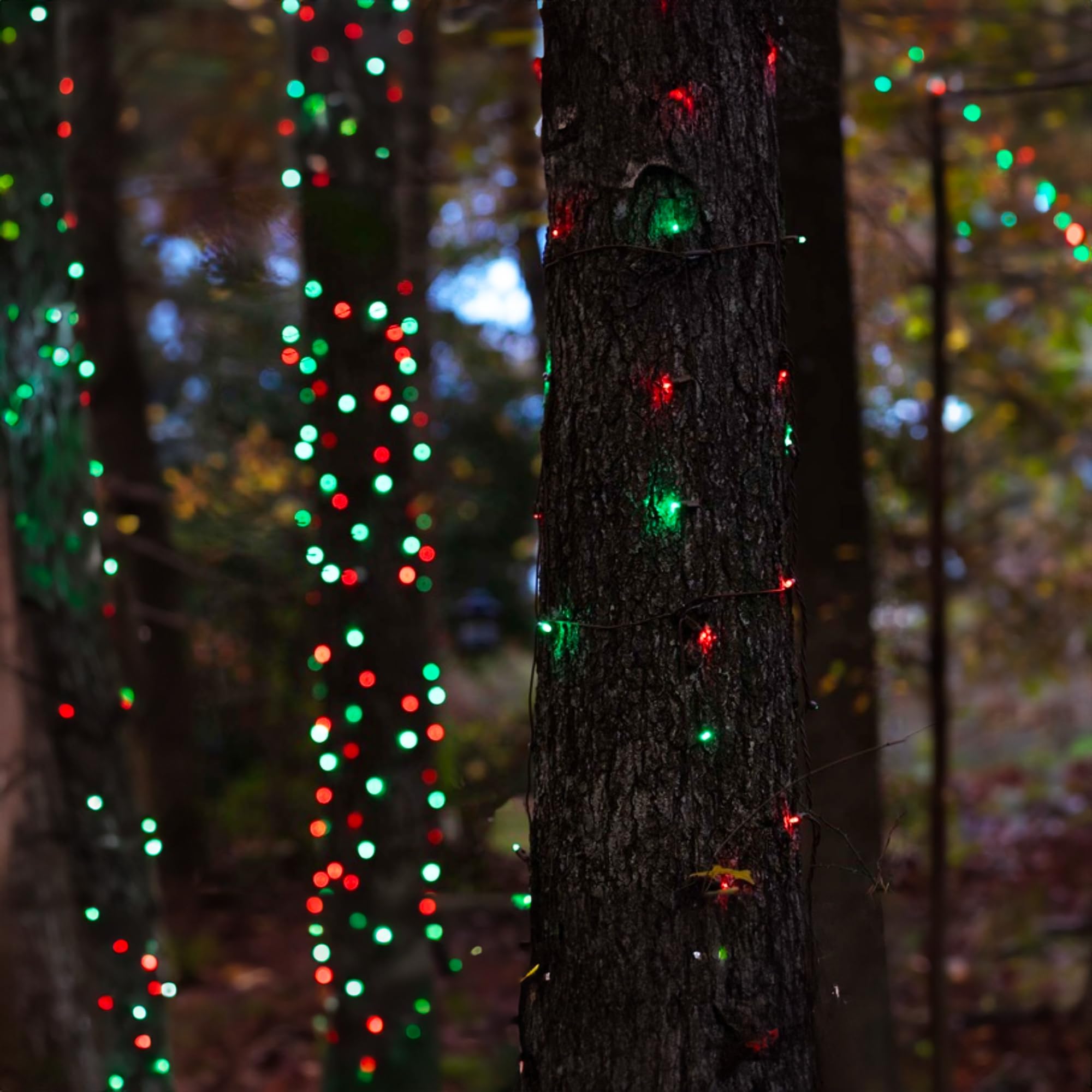 Tw Shine Christmas Mini String Lights, 20Ft, 100 Count, Waterproof, Red And Green, Model Zf-100-2/Sb, Indoor/Outdoor Decorations