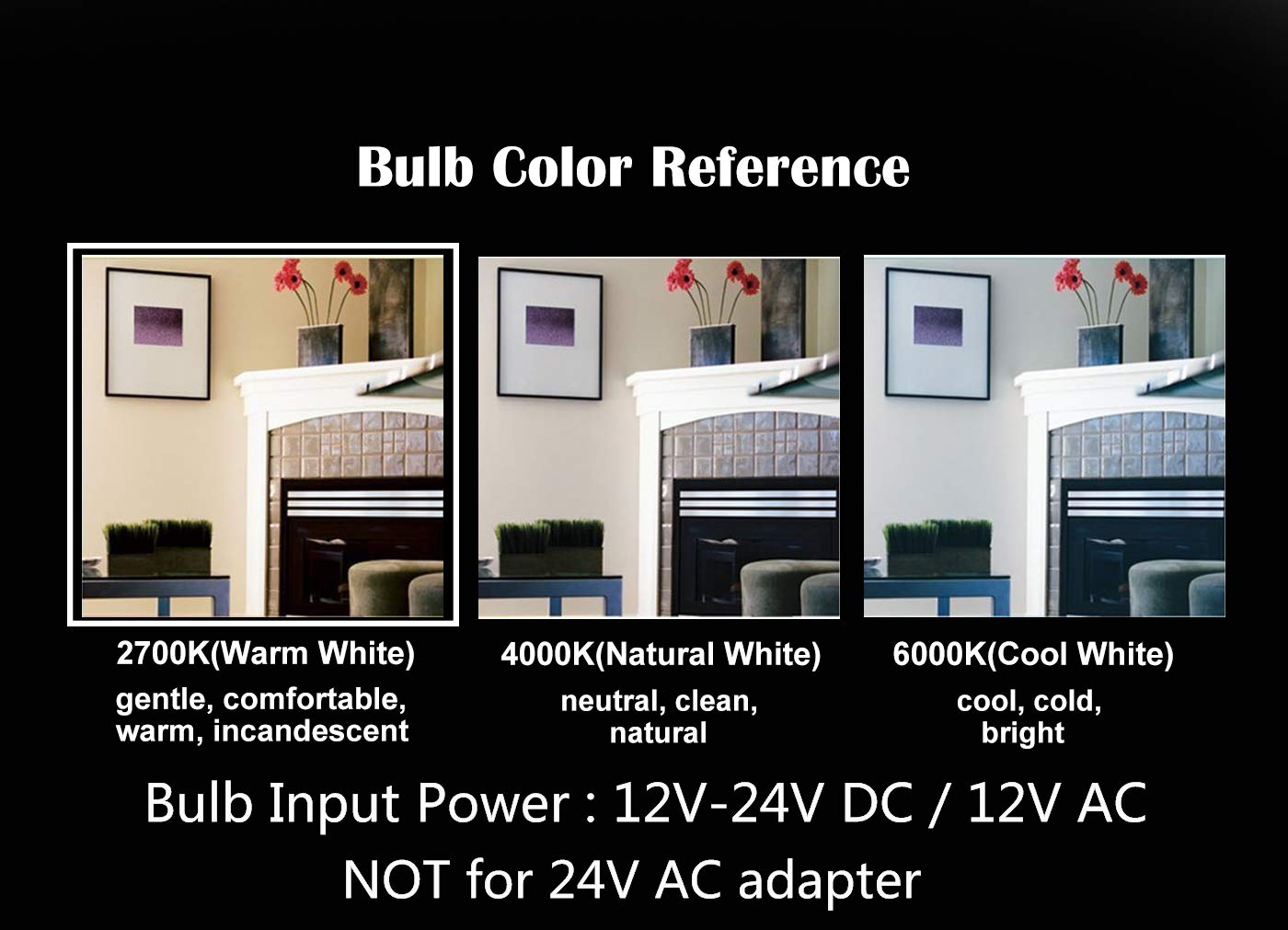 Opalray 2W Dimmable Mini Globe Led Bulb, Ac/Dc 12V, E26 Base, Warm White