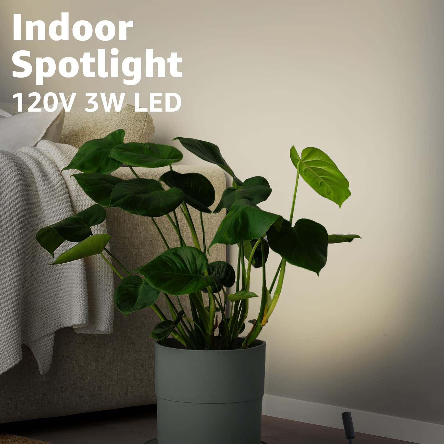 URTOM Indoor Spotlight LED Uplights, 2 Pack Warm White Accent Lighting, 5.9 FT Cord, Black Aluminum Design