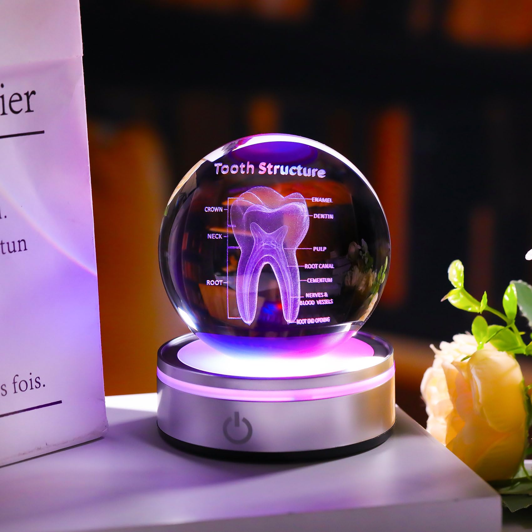 Enjinkail Tooth Model 3D Crystal Ball Dental Gifts For Women Men, Dentist Hygienist Present Office Decor With Led Base, Laser Et