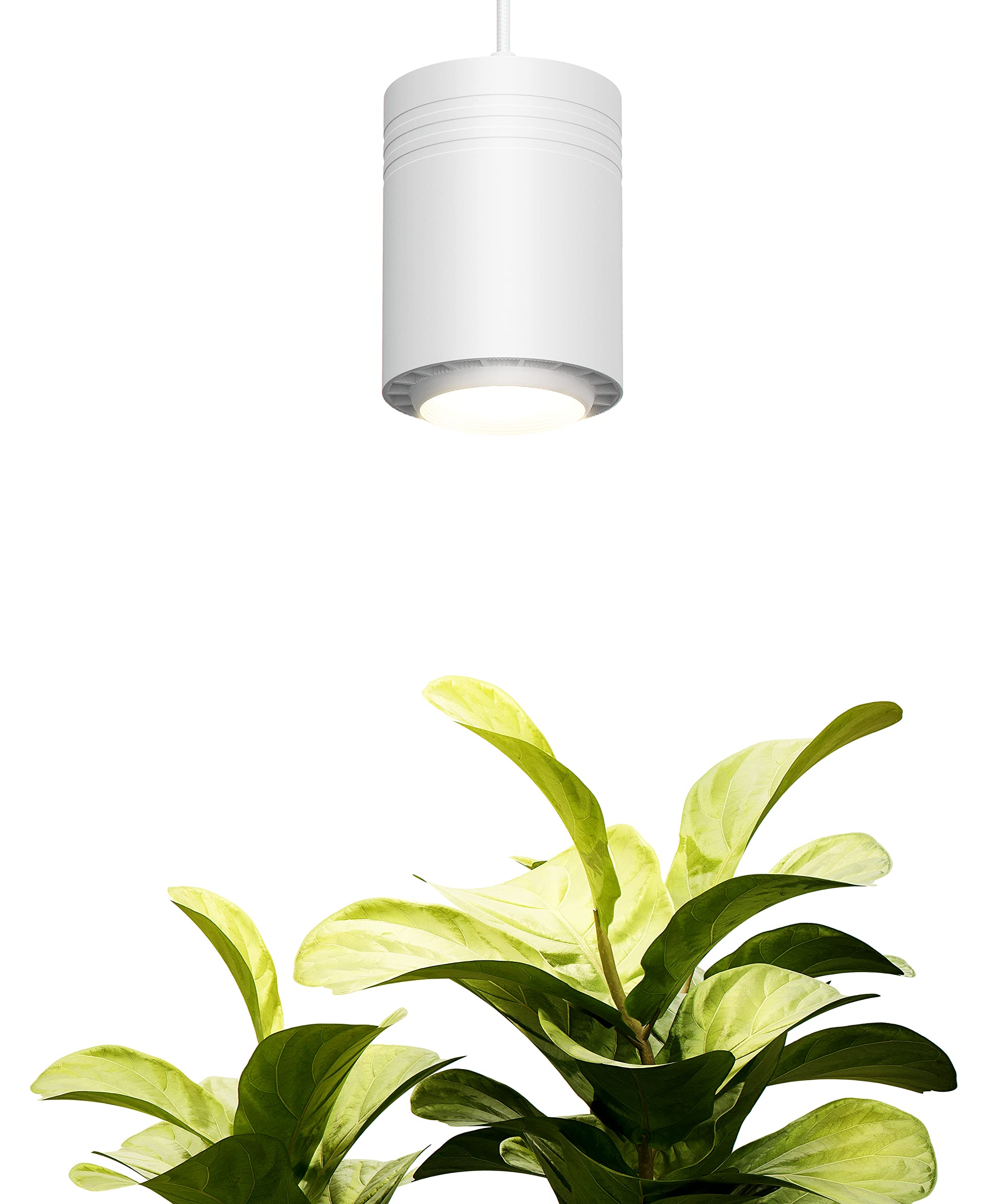 Aspect Small White Luxury Led Grow Light - For Small And Medium Sized Plants