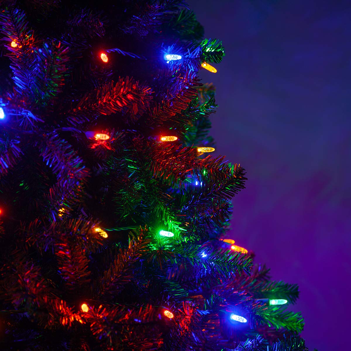 Wintergreen Lighting 50 T5 Christmas Tree Lights, 25.5 ft, Multicolor LED Indoor-Outdoor String Lights, Model IOS-2-50