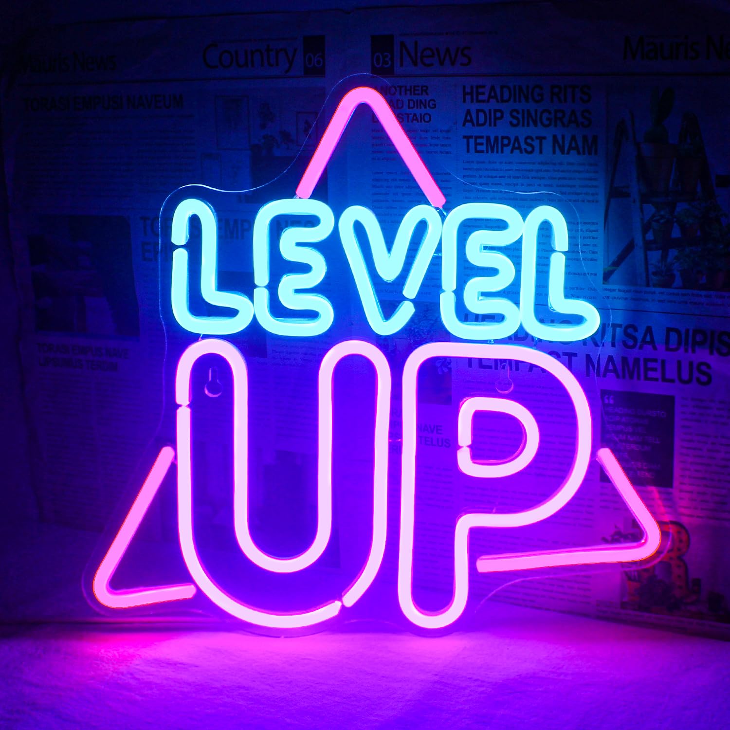 Horseneon Neon Sign for Wall Decor, USB Powered LED Light, Level Up Color, Perfect for Game Room or Game Zone