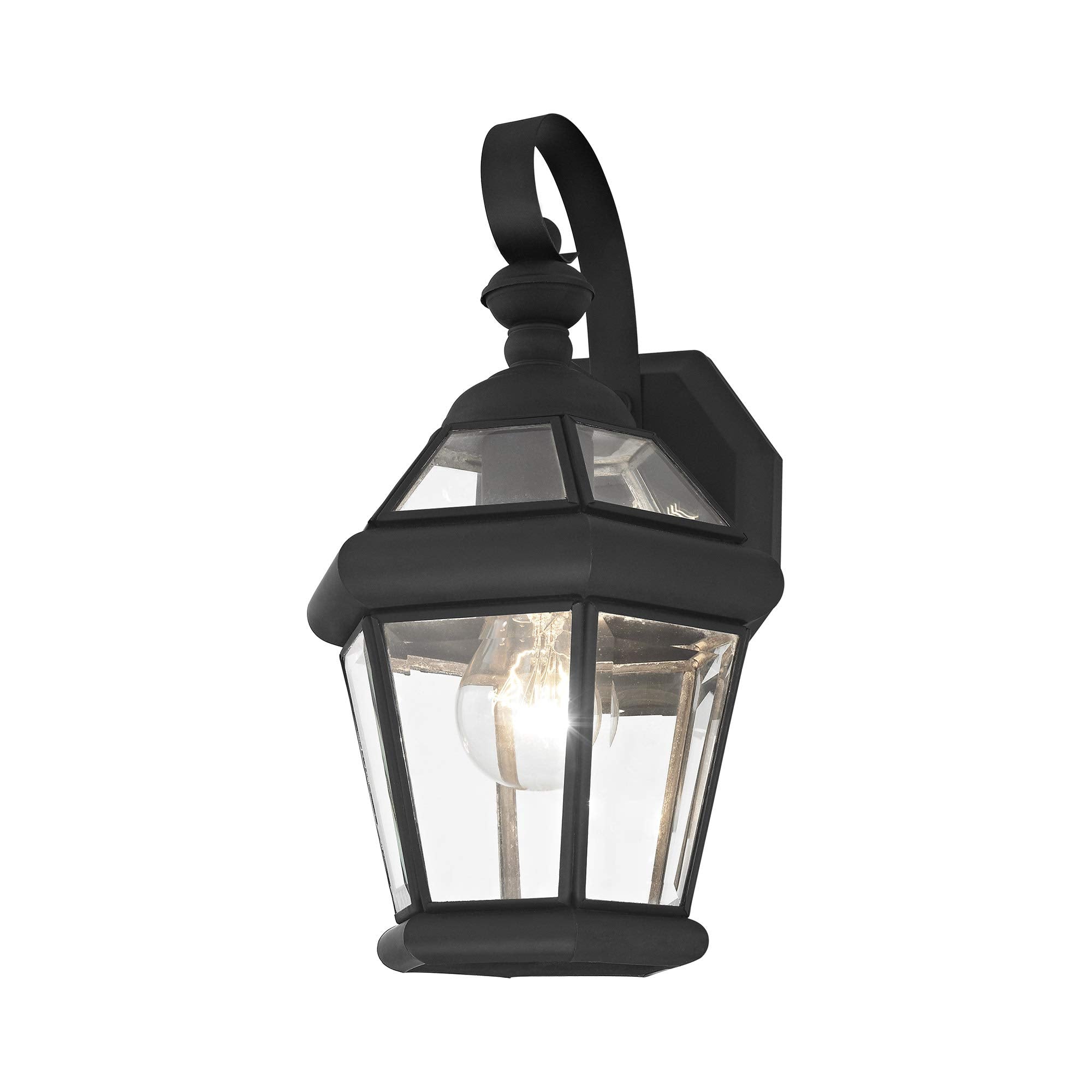 Livex Lighting 2061-02 Outdoor Wall Lantern With Clear Flat Glass Shades, Polished Brass