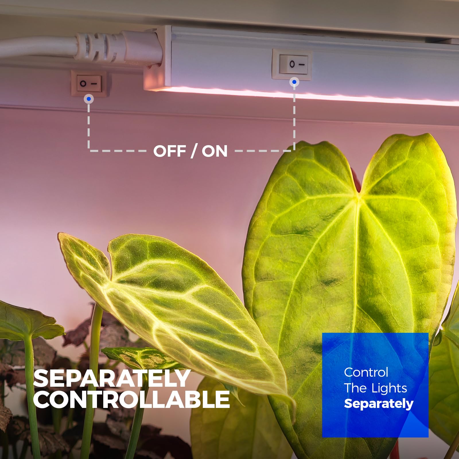 Barrina T5 Grow Lights for Indoor Plants, Full Spectrum, 2ft, 80W, LED Bulbs, 8-Pack, Pinkish White, Model INWT504009650Ec
