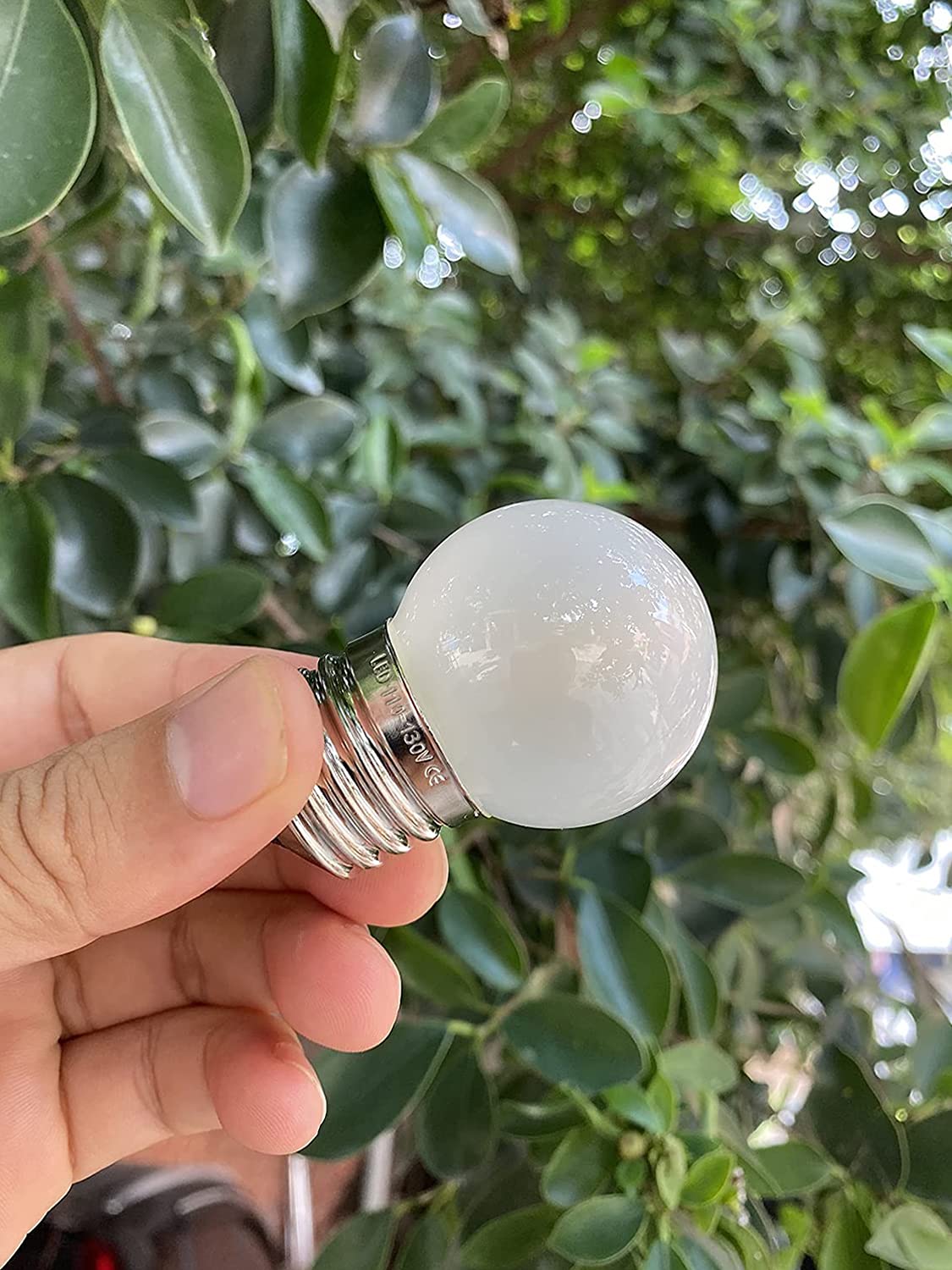 Sphoon G40 LED Bulb, 1.5W Equivalent to 15W, E26 Base, Frosted Warm White 2700K, 150lm, Pack of 2