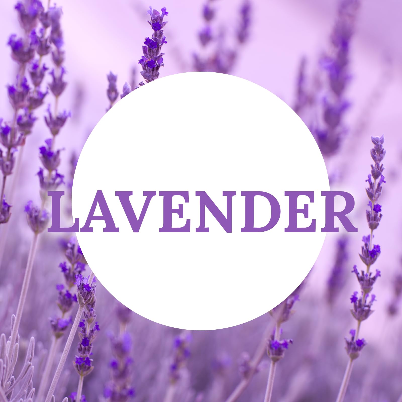 Deybby Natural Lavender Scented Soy Wax Tealight Candles Bulk, Aromatherapy Luxury Tea Candle Set Of 24-4 Hour Burning Great Gift