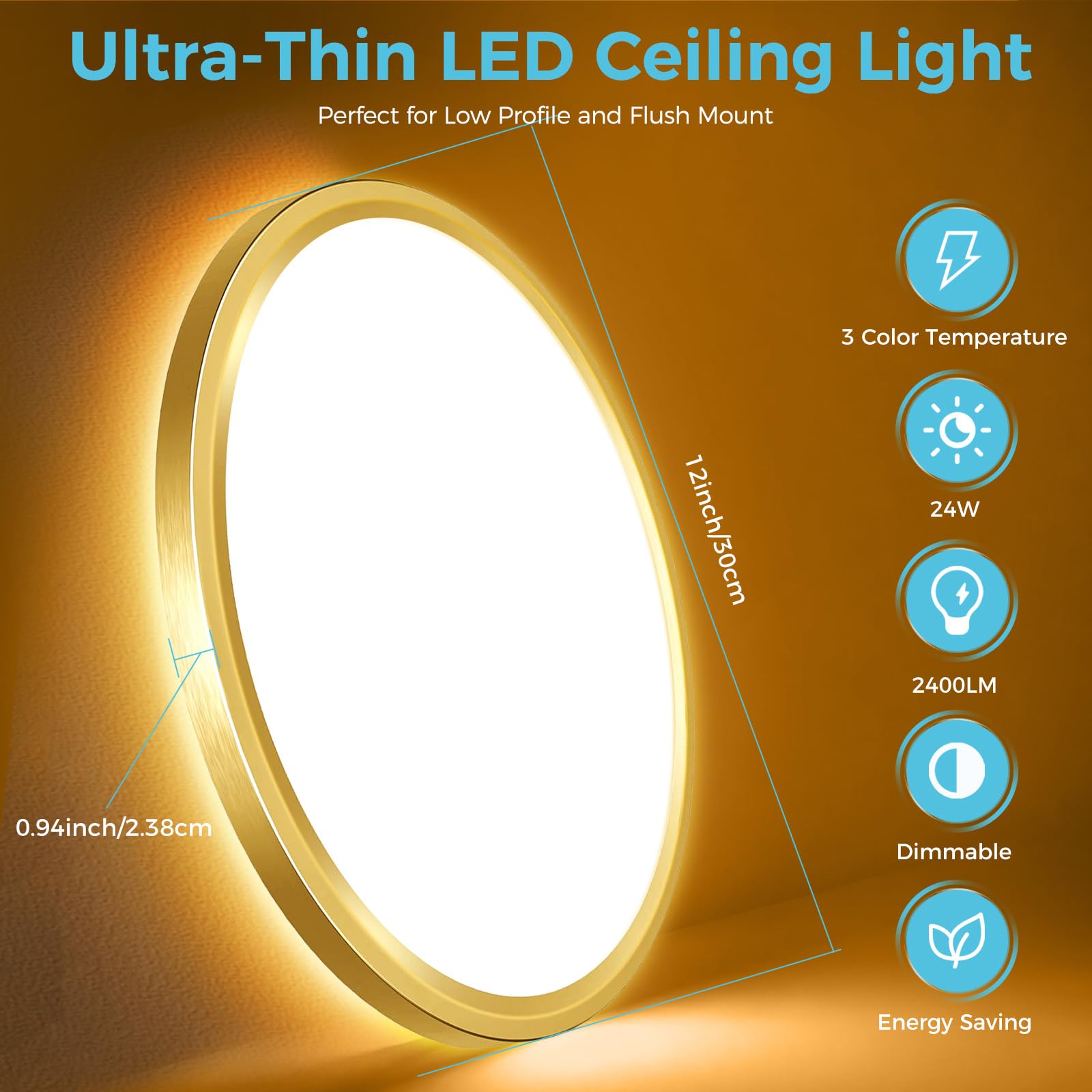 libtit 12" Gold LED Ceiling Light Fixture, Dimmable 24W, Remote Control, Night Light, Round Low Profile for Bedroom/Bathroom/Kitchen