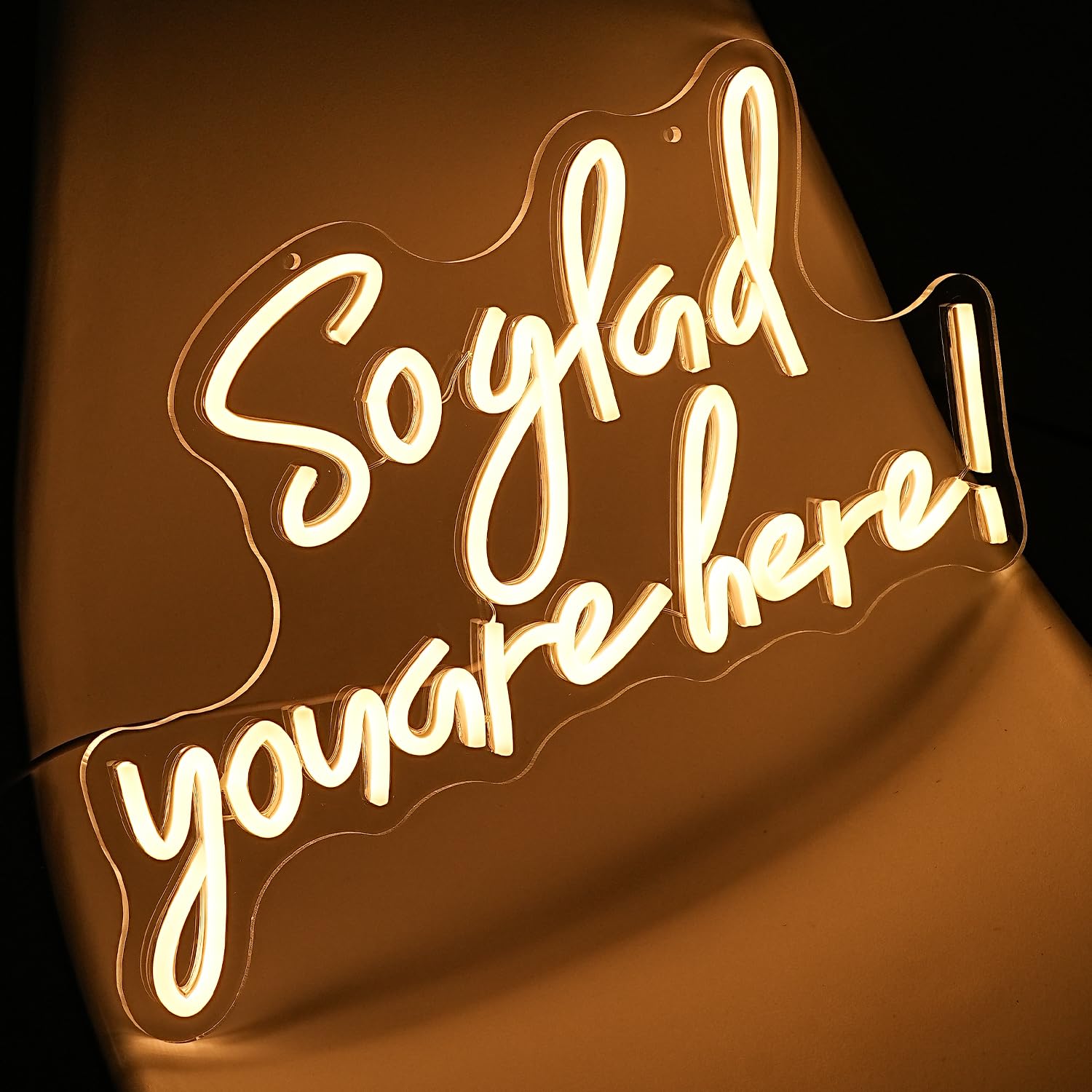Xixkilly Neon Sign Dimmable Wedding Welcome Light, Warm White, 16.7 x 10 inches, Acrylic Wall Decor for Birthday and Wedding