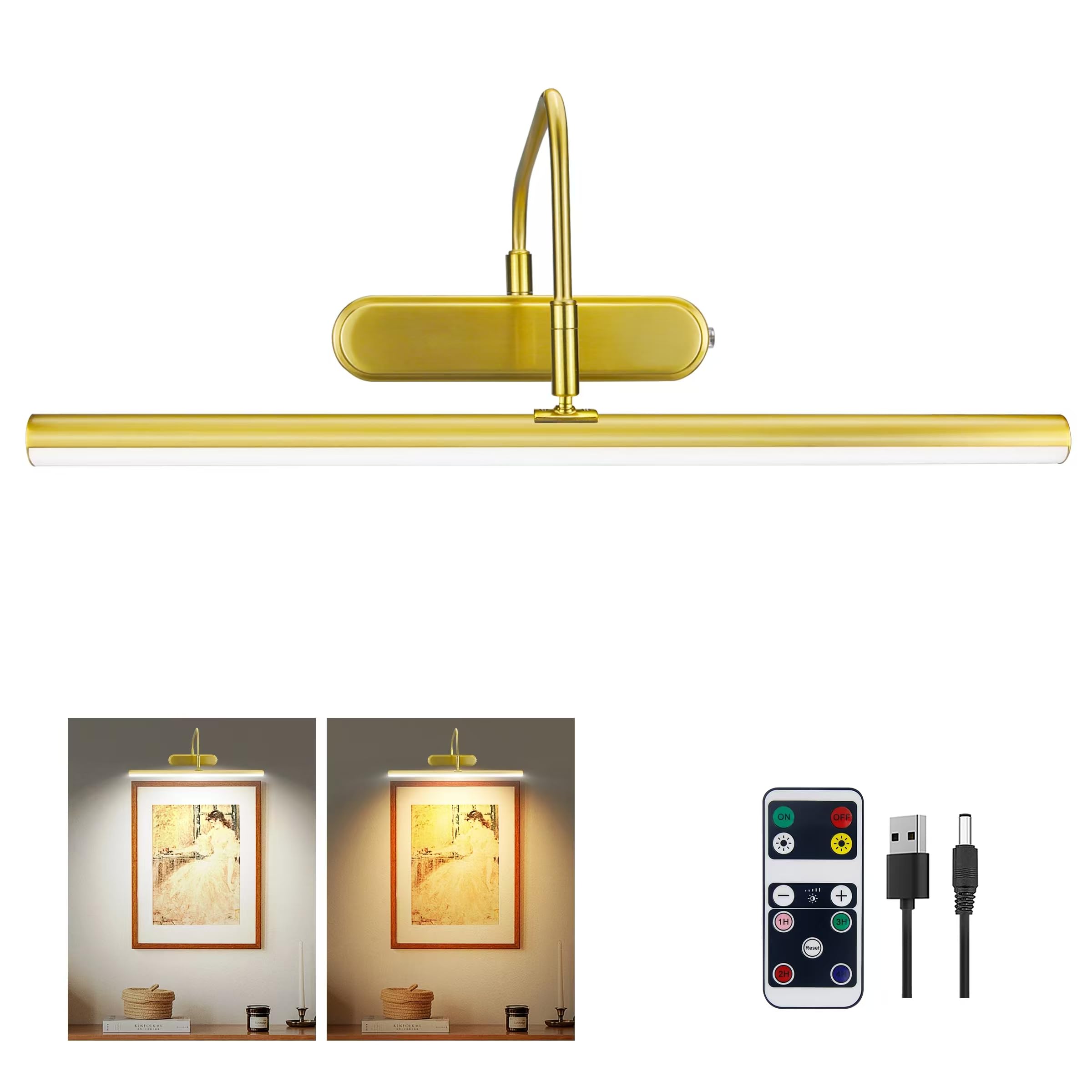RAIFOOLLY Picture Light,Wireless Art Lights for Paintings,15.9'' Battery Operated Wall Lights,Remote Accent Lighting with Timer 