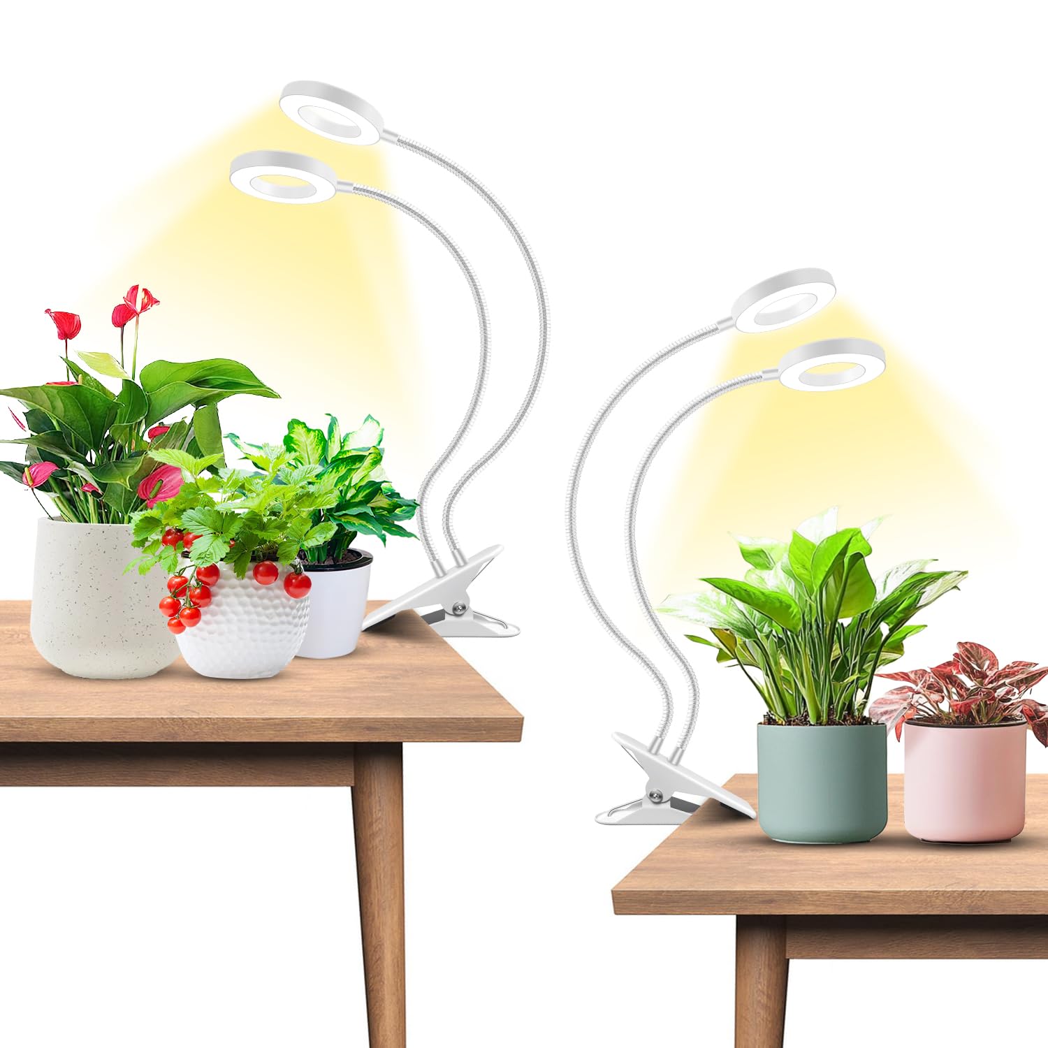 Wiaxulay Grow Light  Full Spectrum Halo Clip Plant Light  192 Leds Growing Lamp With Gooseneck  Auto Timer 6/12/16 Hrs  3 Lighting Mode  5 Brightness Levels For Seedlings Succulents  2 Pack (3.5In)