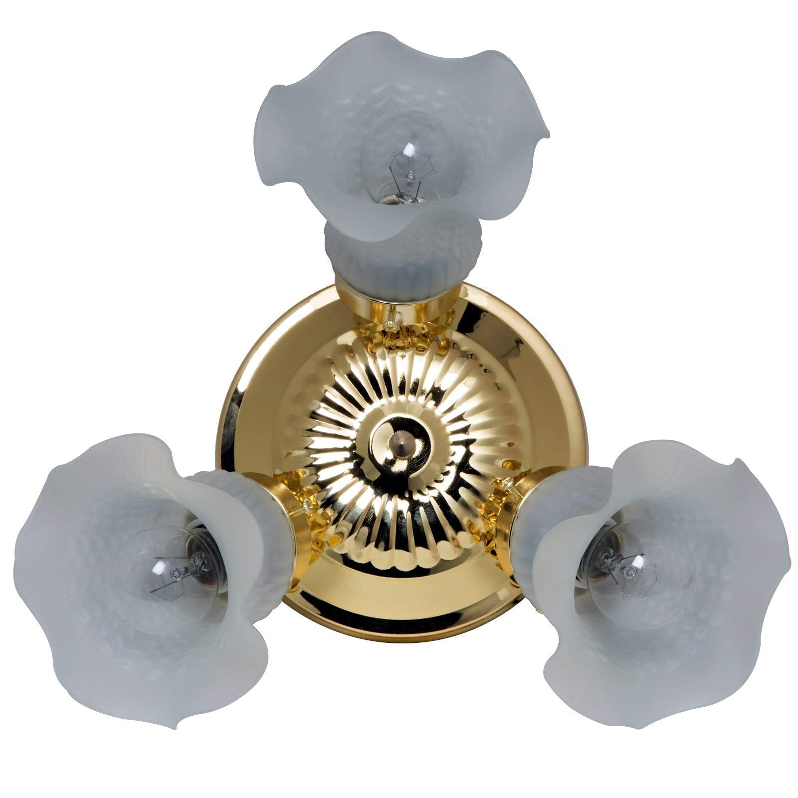 Boston Harbor Dimmable Ceiling Light Fixture, 3x60W A19/CFL, Metal, White, Model F6BB03-22013L