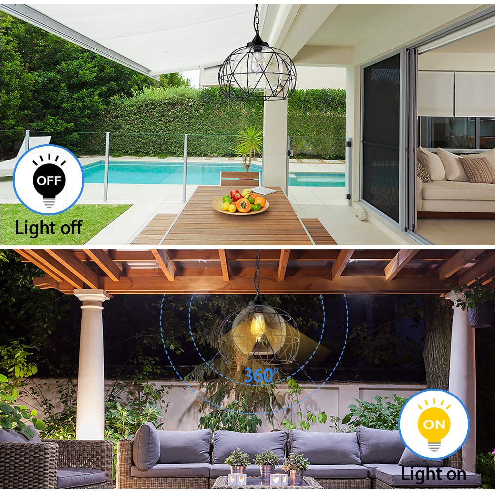Wellmet 1-Light Outdoor Chandelier, 14.5 Inch Black Cage Pendant Lighting with Glass Shades for Dining Room, Bar, Hallway, Entryway