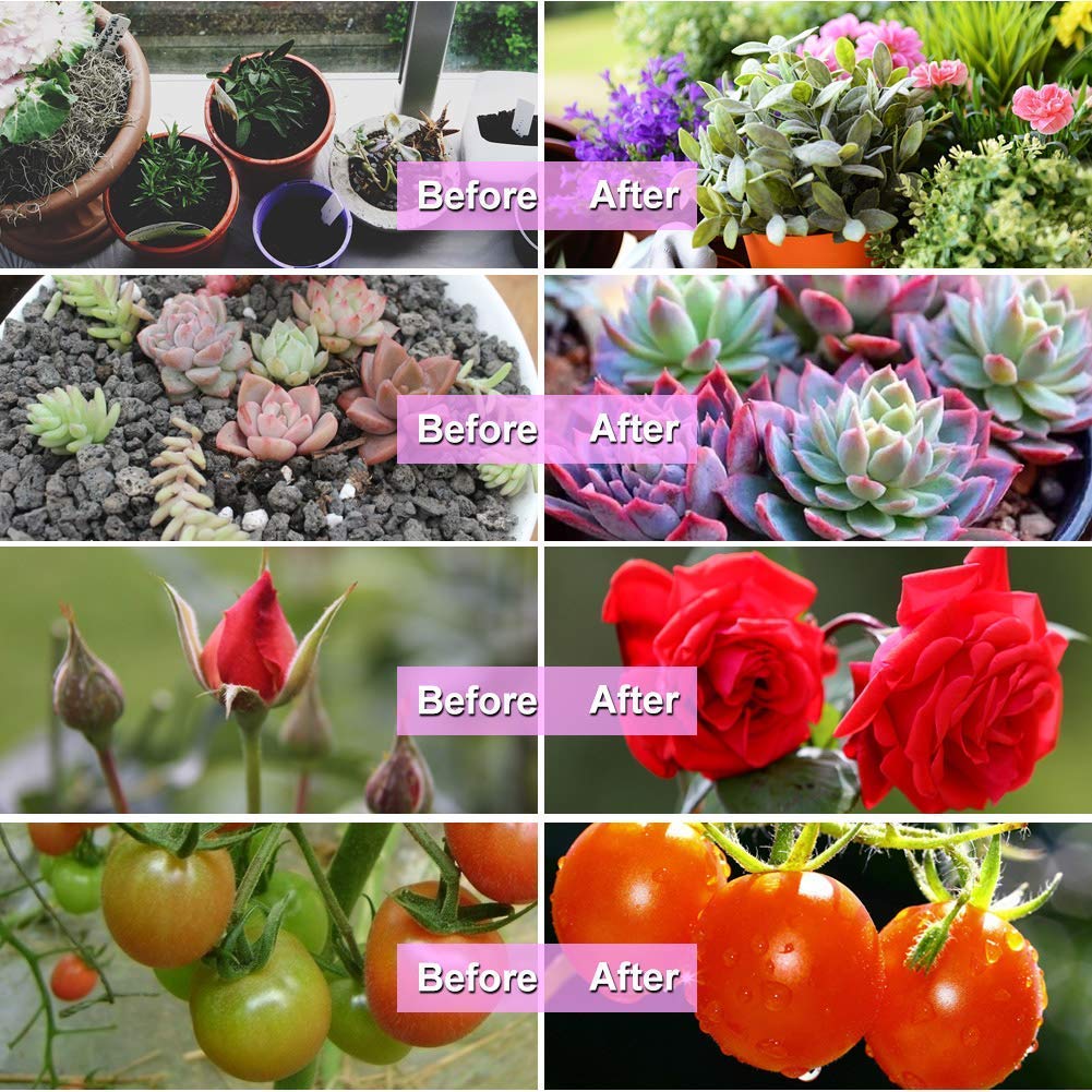 bseah Grow Light for Indoor Plants, Full Spectrum, 3 Goosenecks, Clip-On, Yellow, 10 Dimmable Settings, Timer ???????