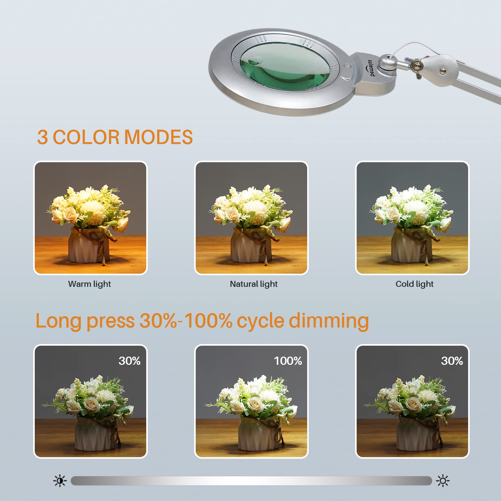 Bemelux Bifocals Magnifying Desk Lamp, 5 Diopter & 20 Diopter, 6in Lens, 1200 Lumens, Silver, Model BLUX9006LED